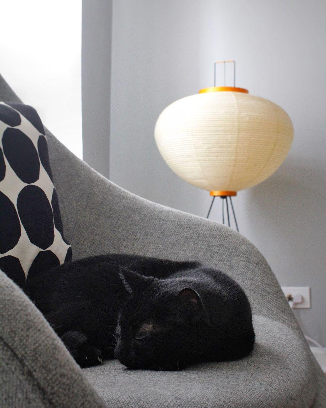 Lampadaire sculptural Taellella