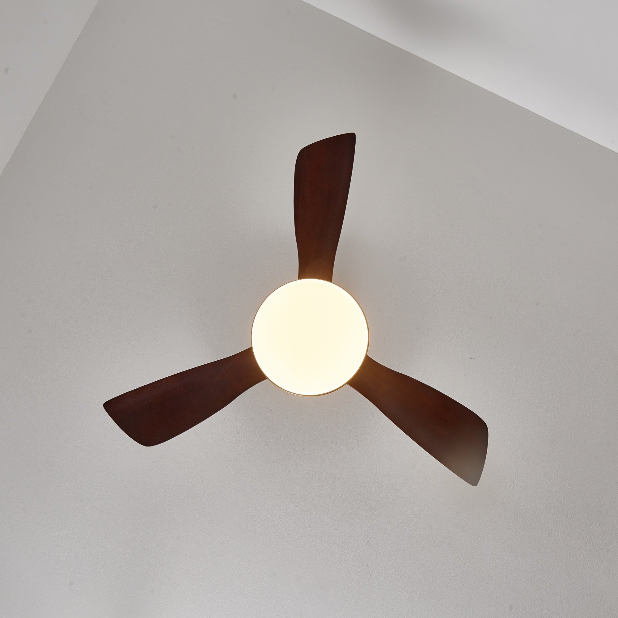 Plafonnier ventilateur Ouvigne