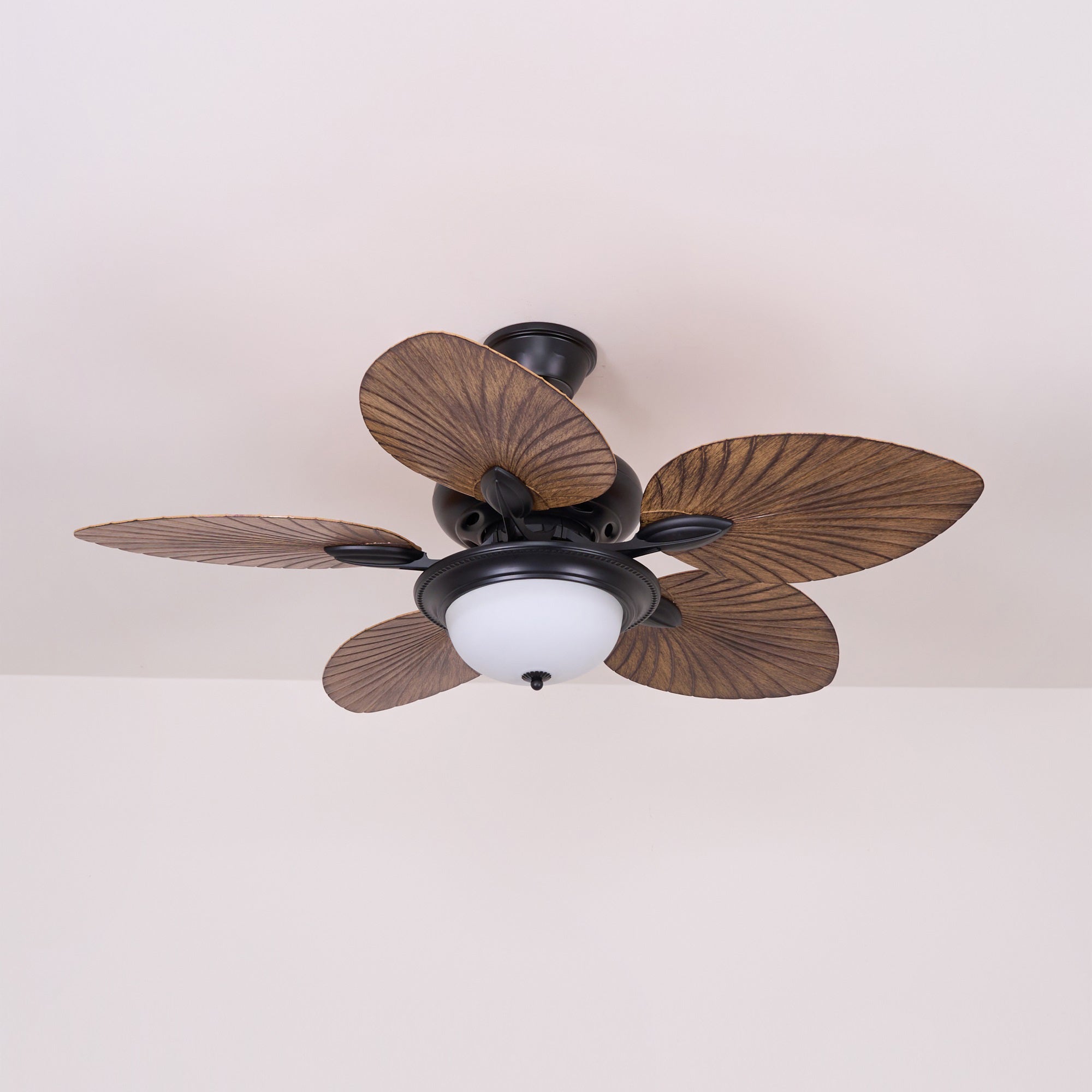 Plafonnier ventilateur Raavel
