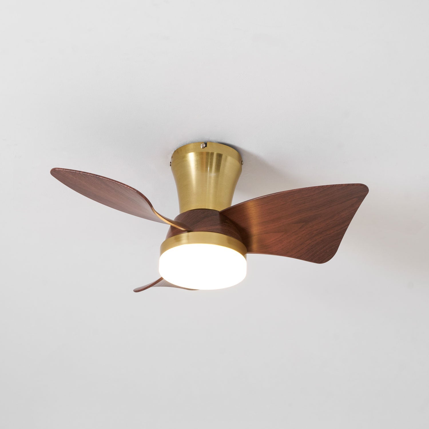 Plafonnier ventilateur Sorielis
