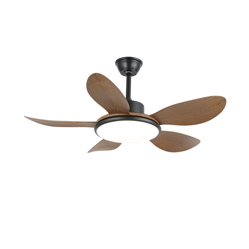 Ventilateur plafonnier Ruereno
