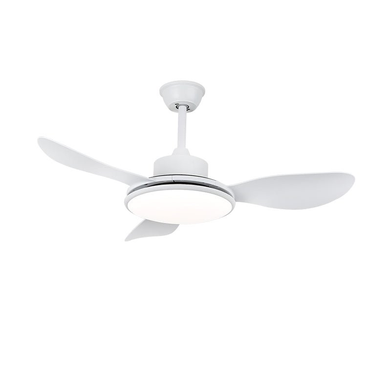 Ventilateur plafonnier Ruereno
