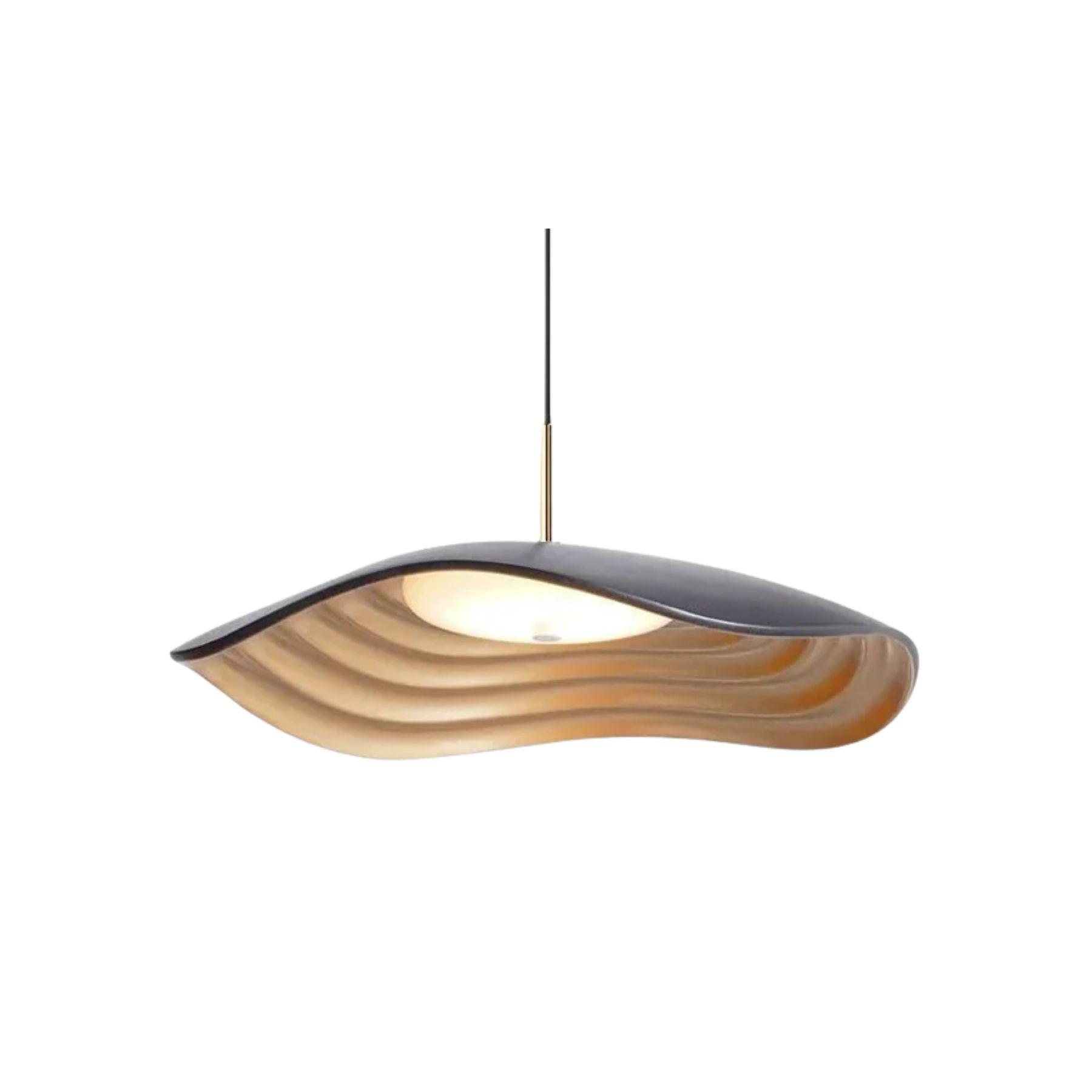 Suspension Brionelle Arc