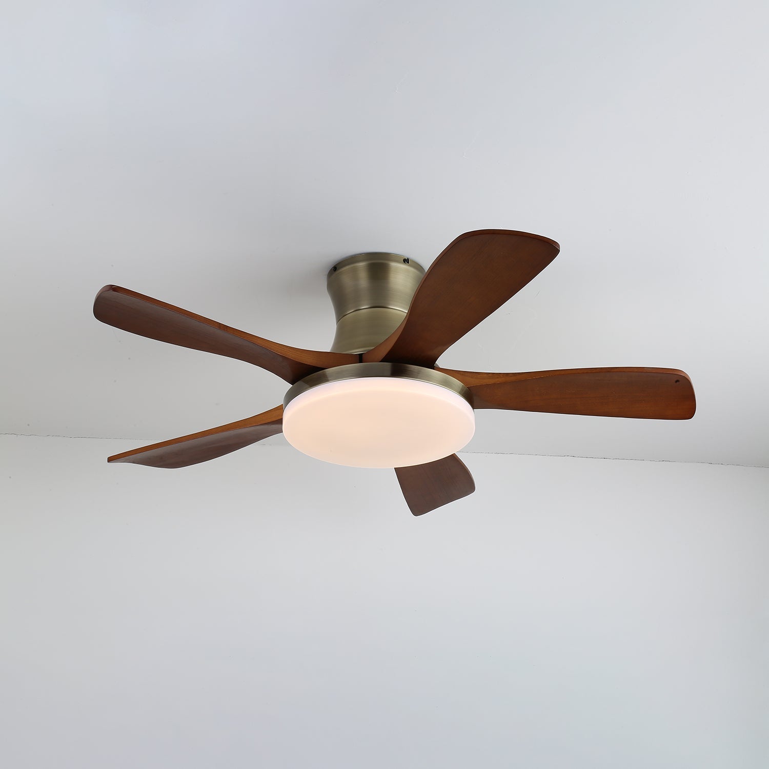 Plafonnier ventilateur Iruneo