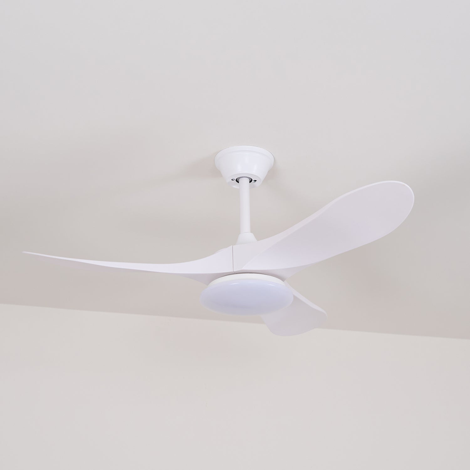 Plafonnier ventilateur Favigno