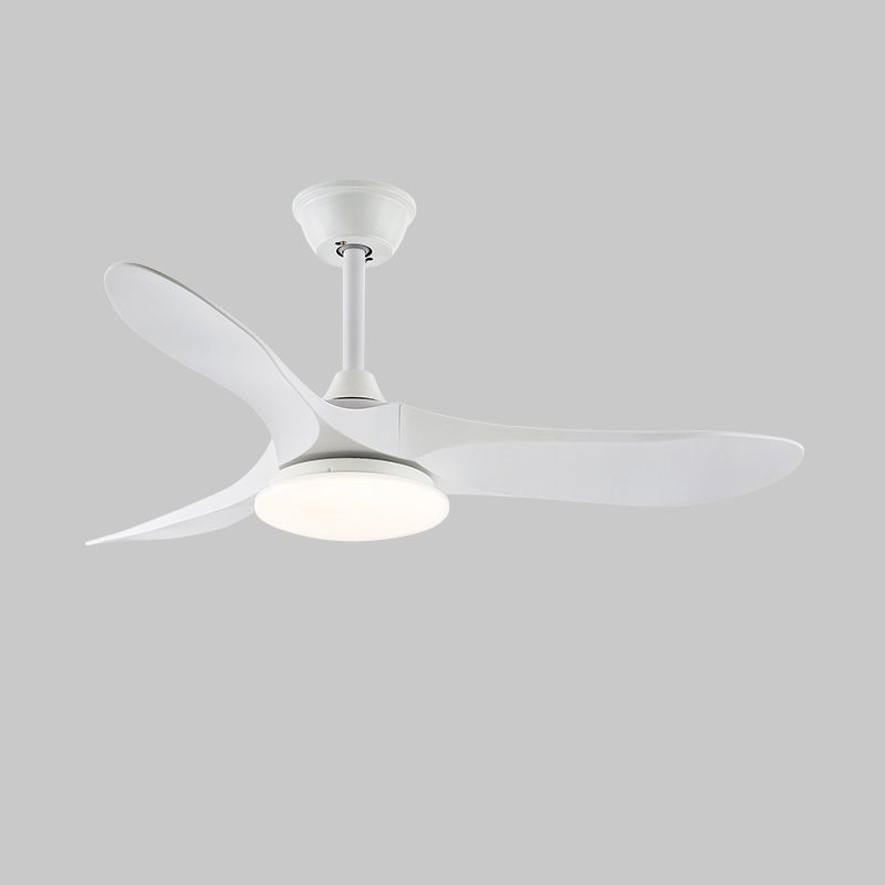 Plafonnier ventilateur Favigno