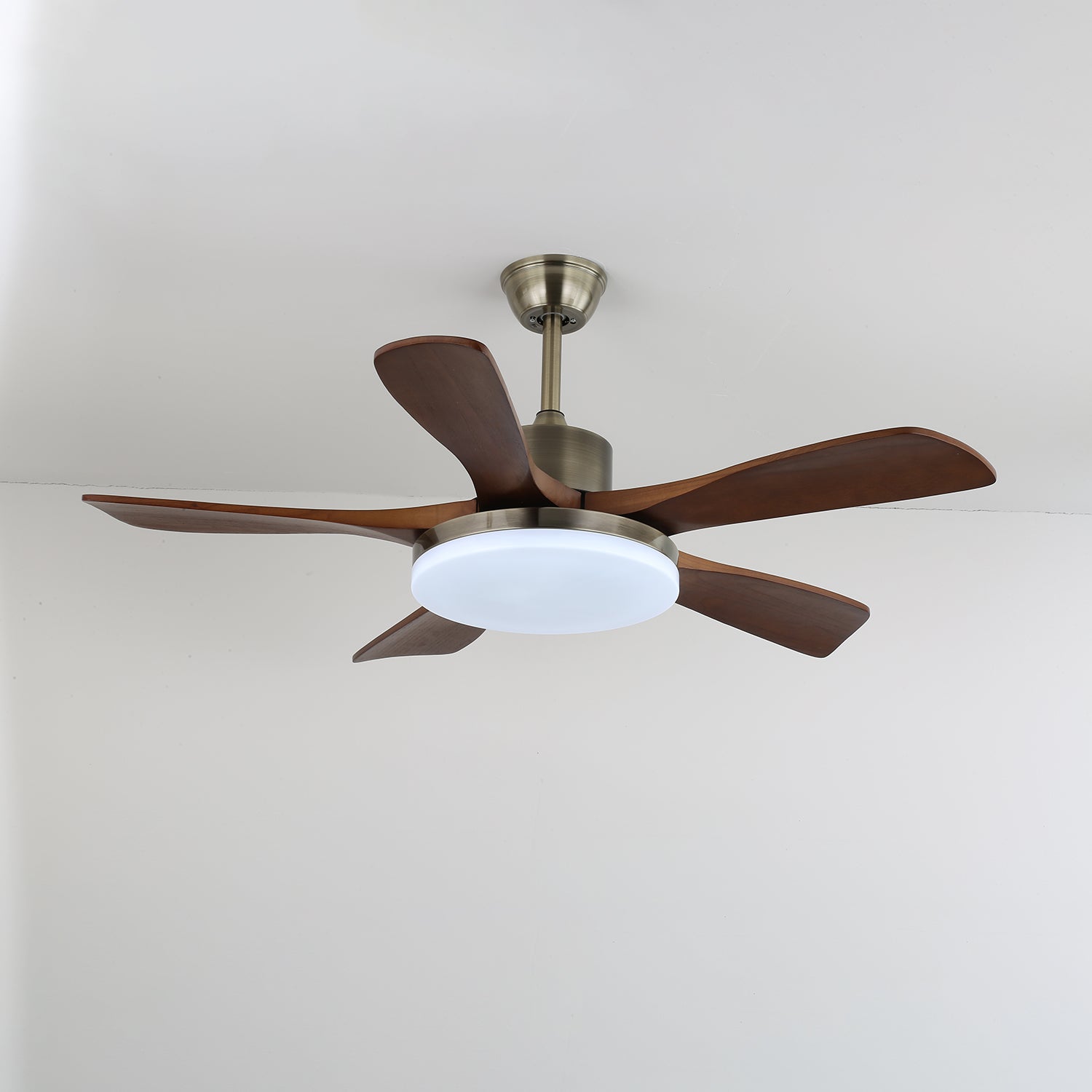Plafonnier ventilateur Liaroris