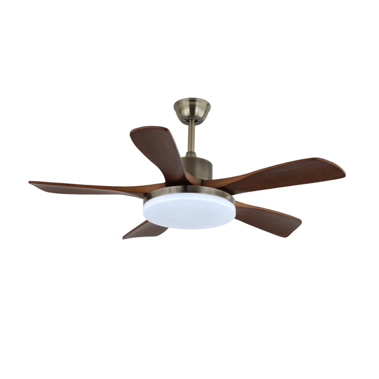 Plafonnier ventilateur Liaroris