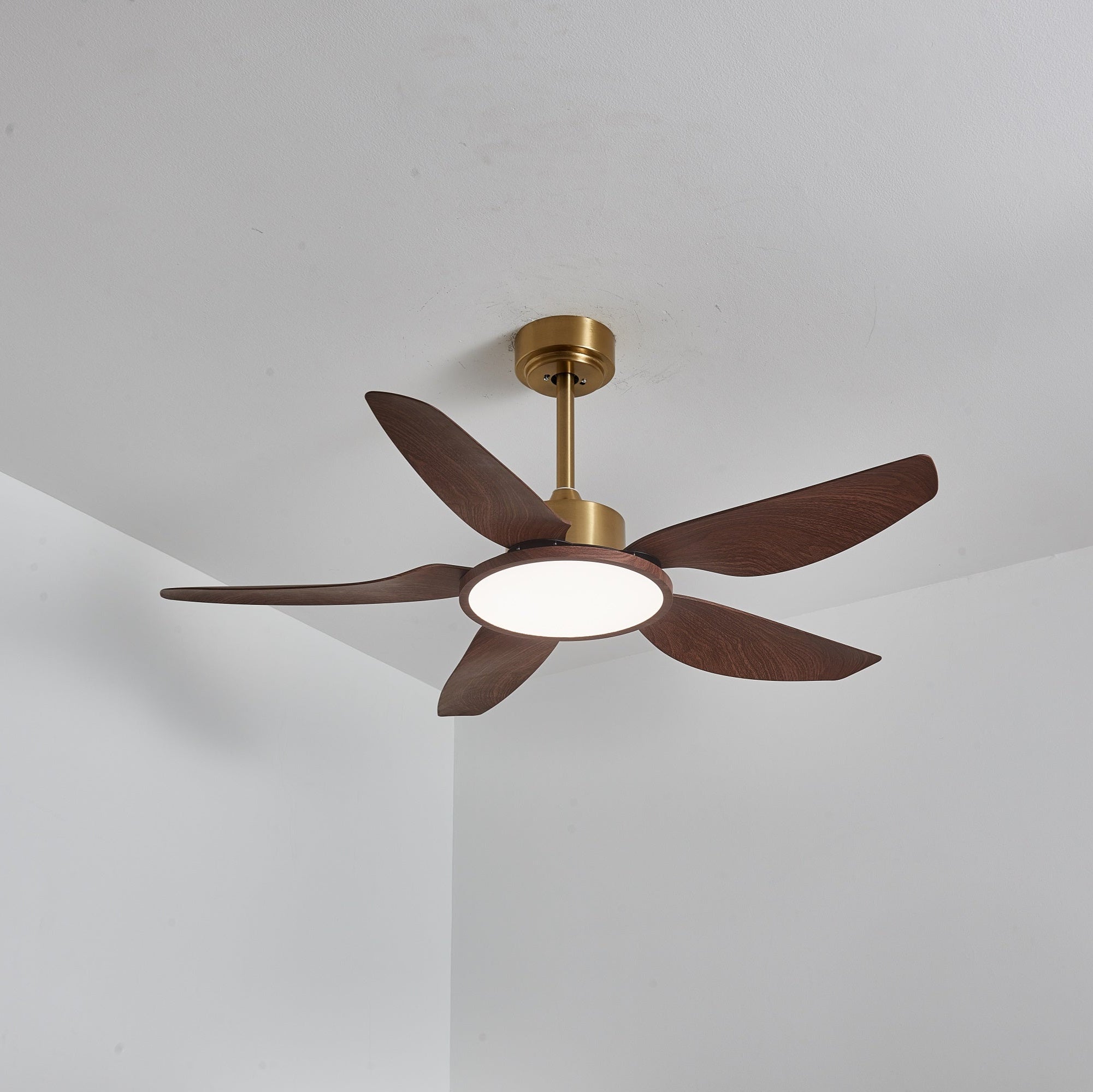 Plafonnier ventilateur Torbelvian