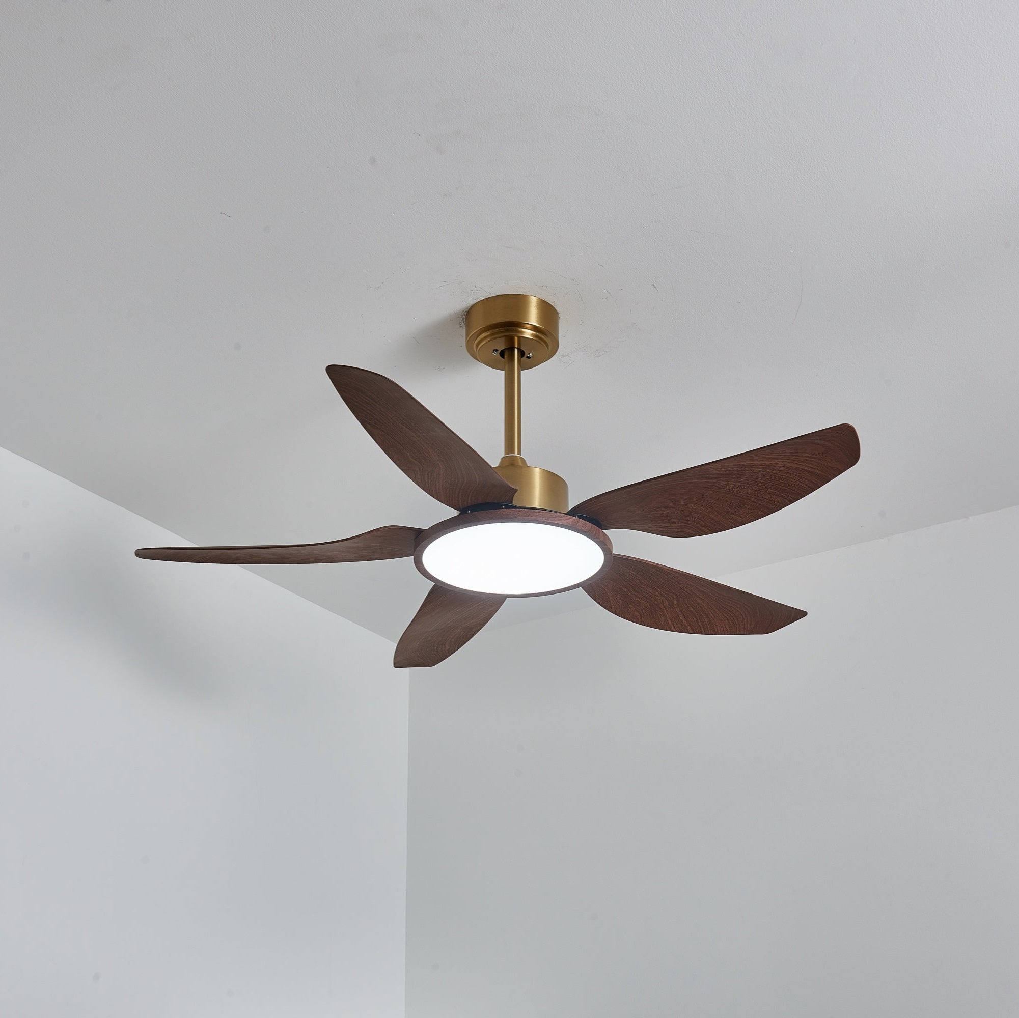 Plafonnier ventilateur Torbelvian