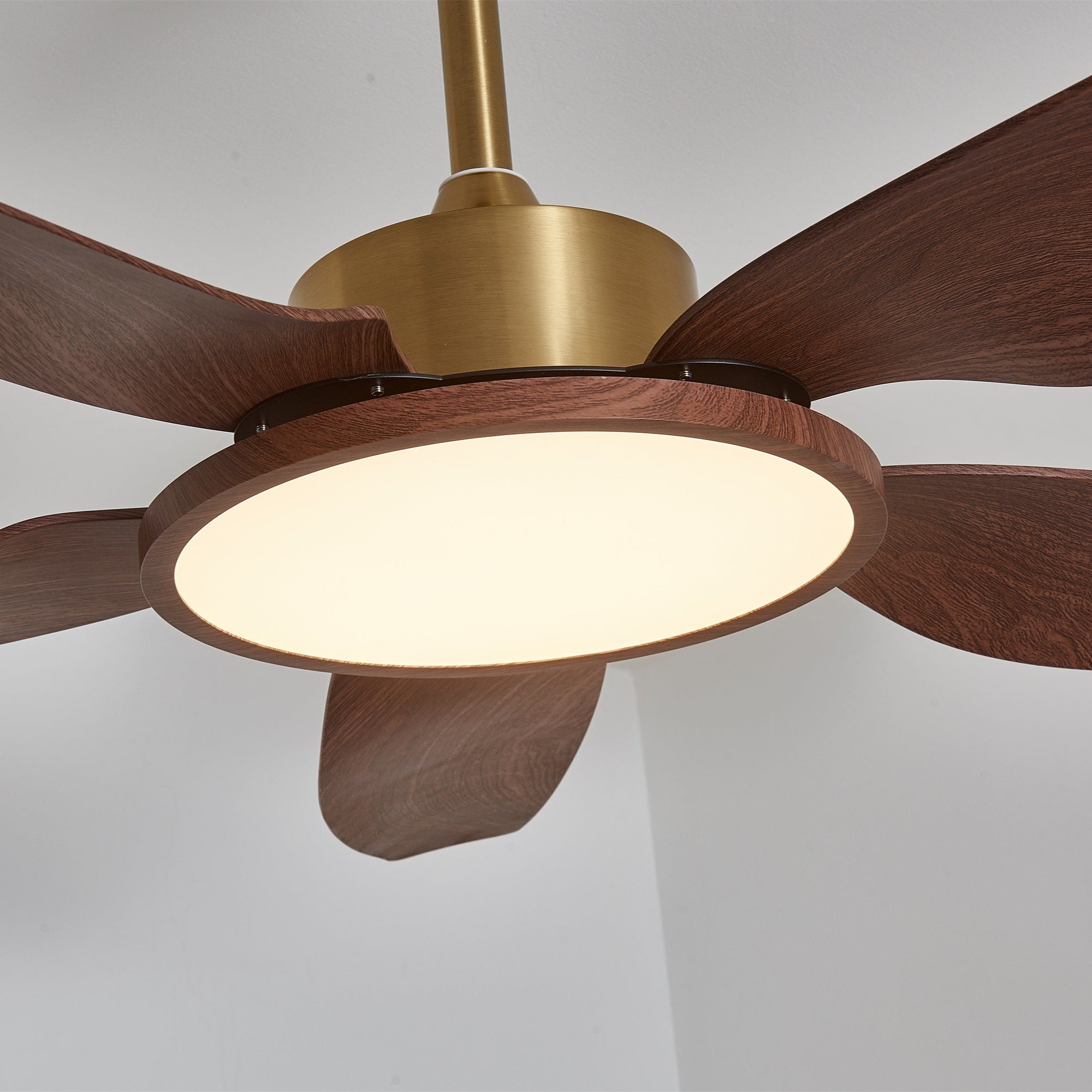 Plafonnier ventilateur Torbelvian
