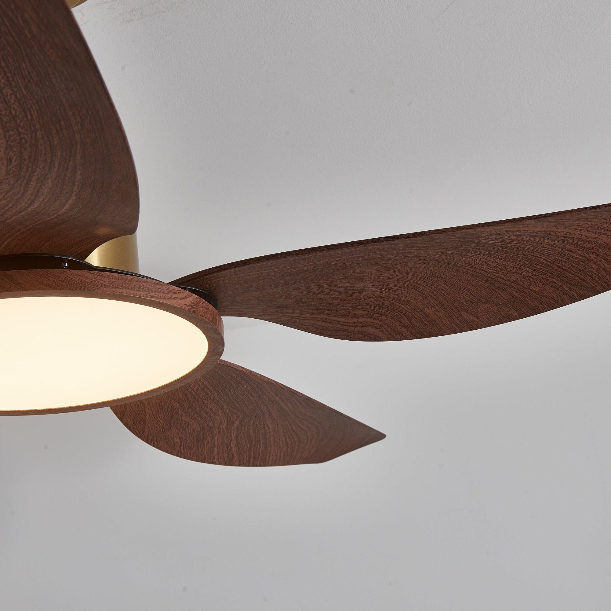 Plafonnier ventilateur Torbelvian