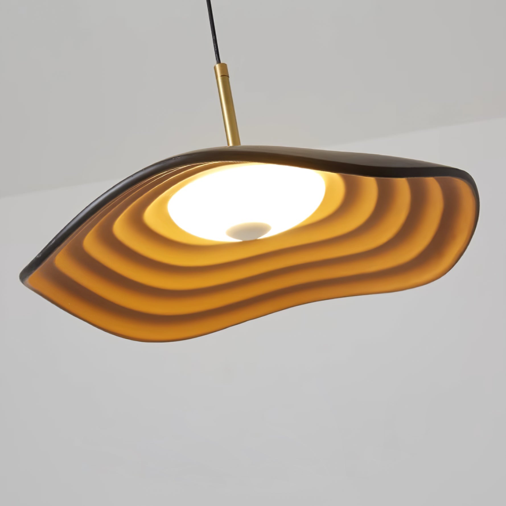Suspension Brionelle Arc