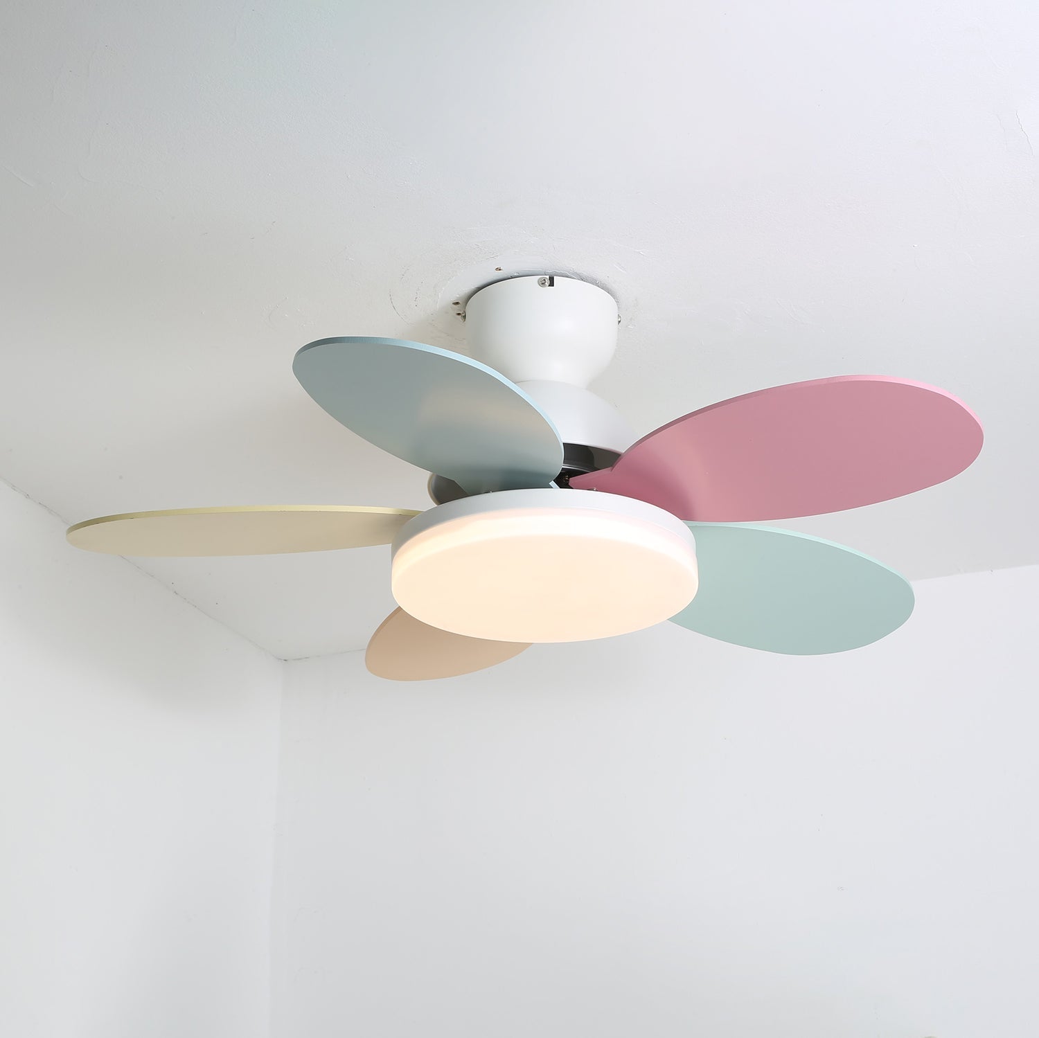 Delionne ventilateur de plafond bois - Valora Design