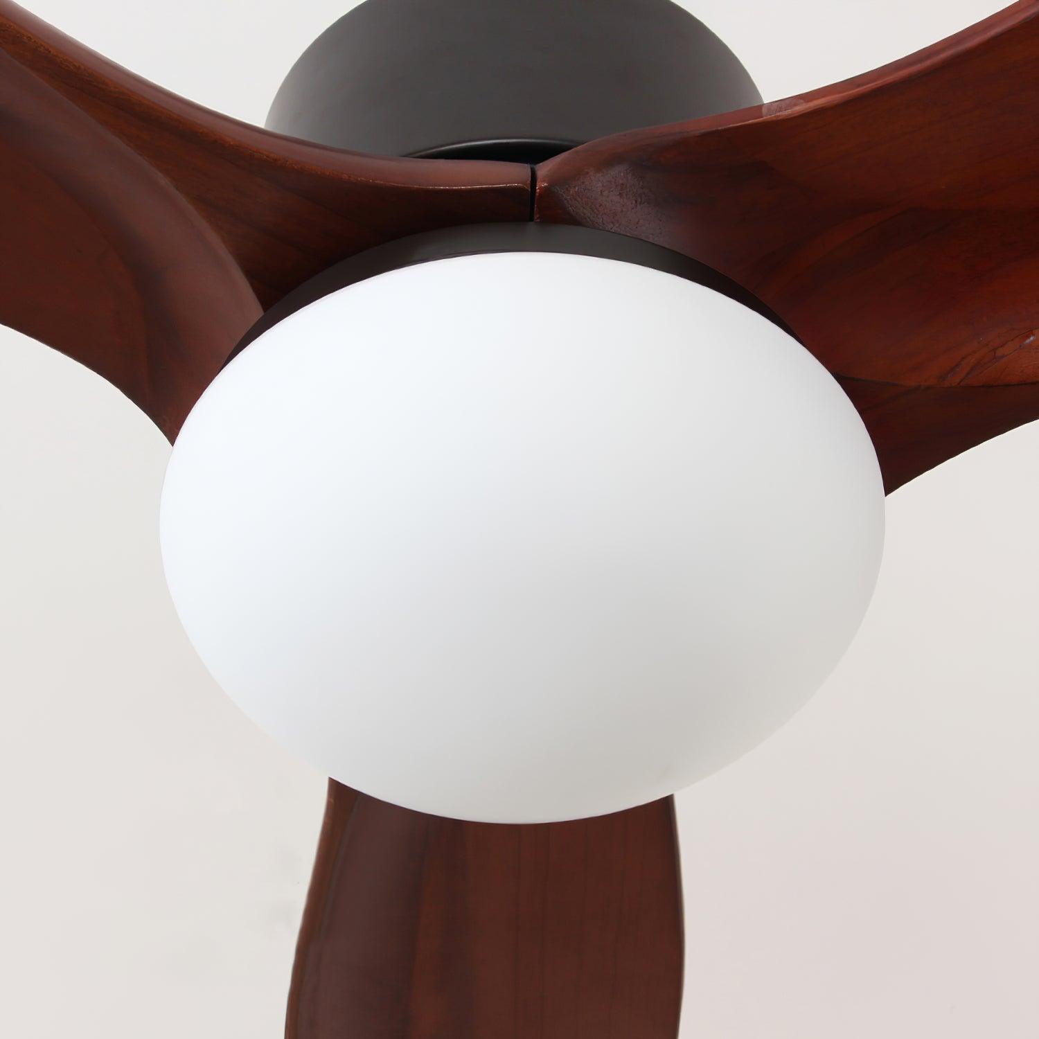 Salore ventilateur de plafond bois - Valora Design