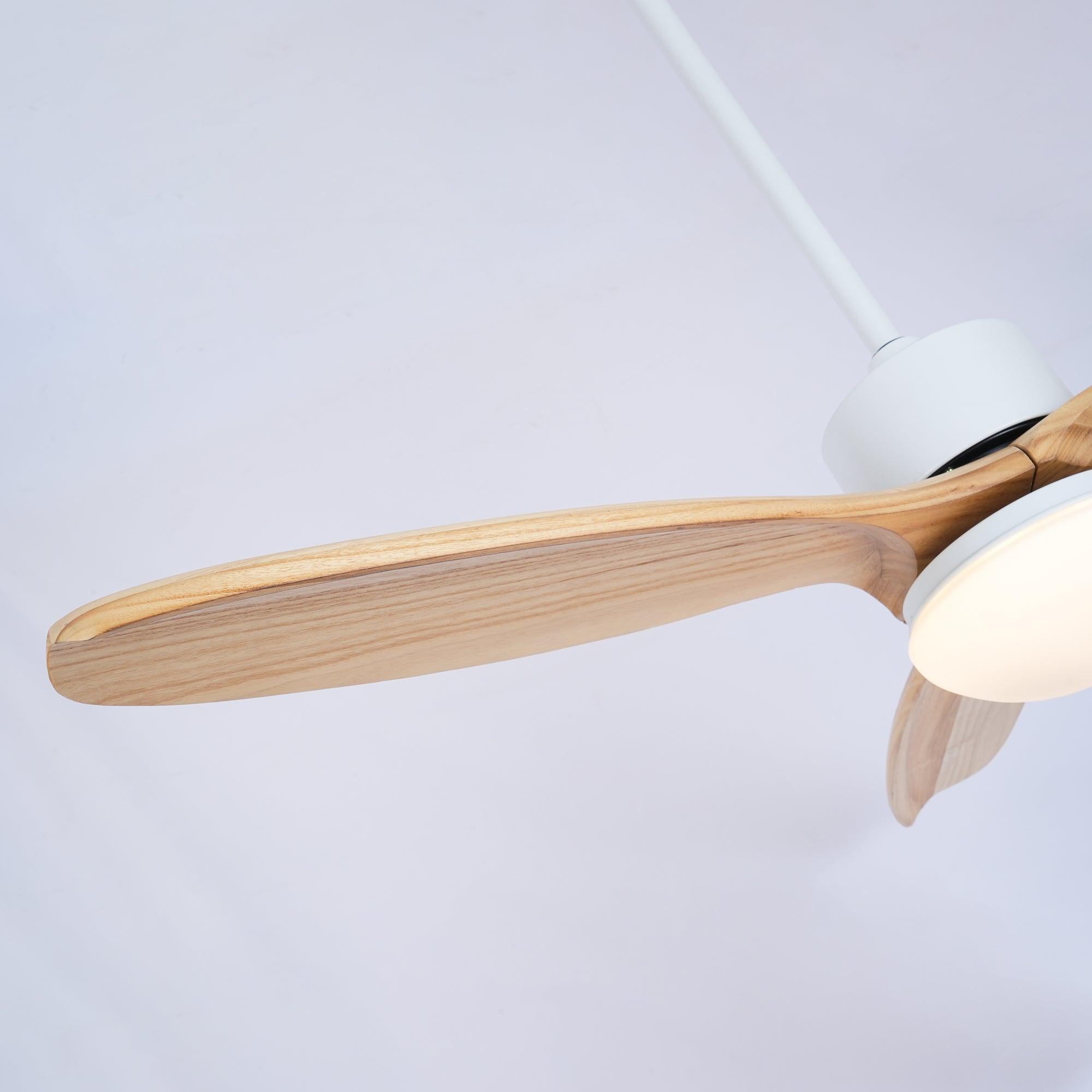 Salore ventilateur de plafond bois - Valora Design