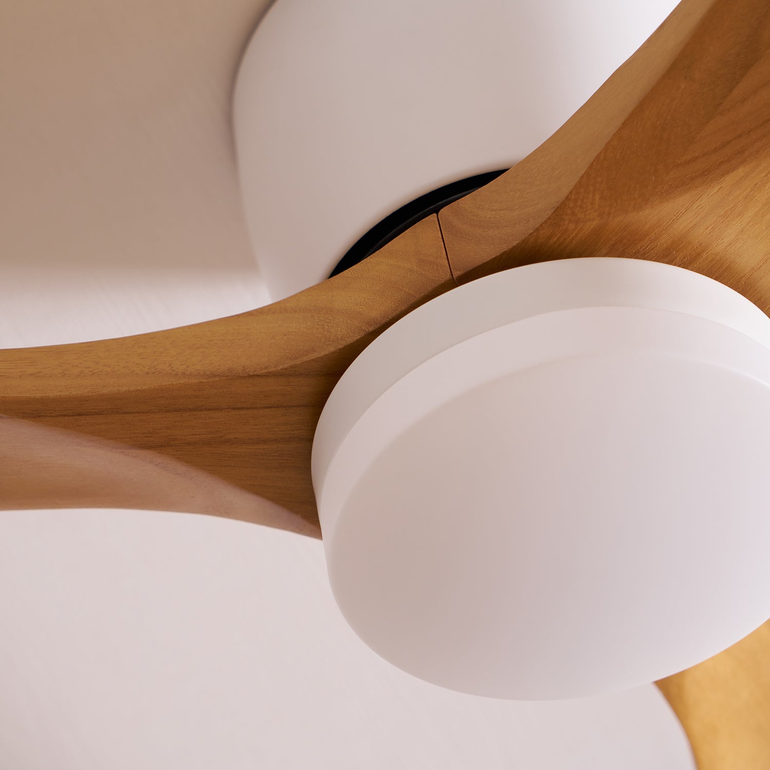 Soranne ventilateur de plafond bois - Valora Design