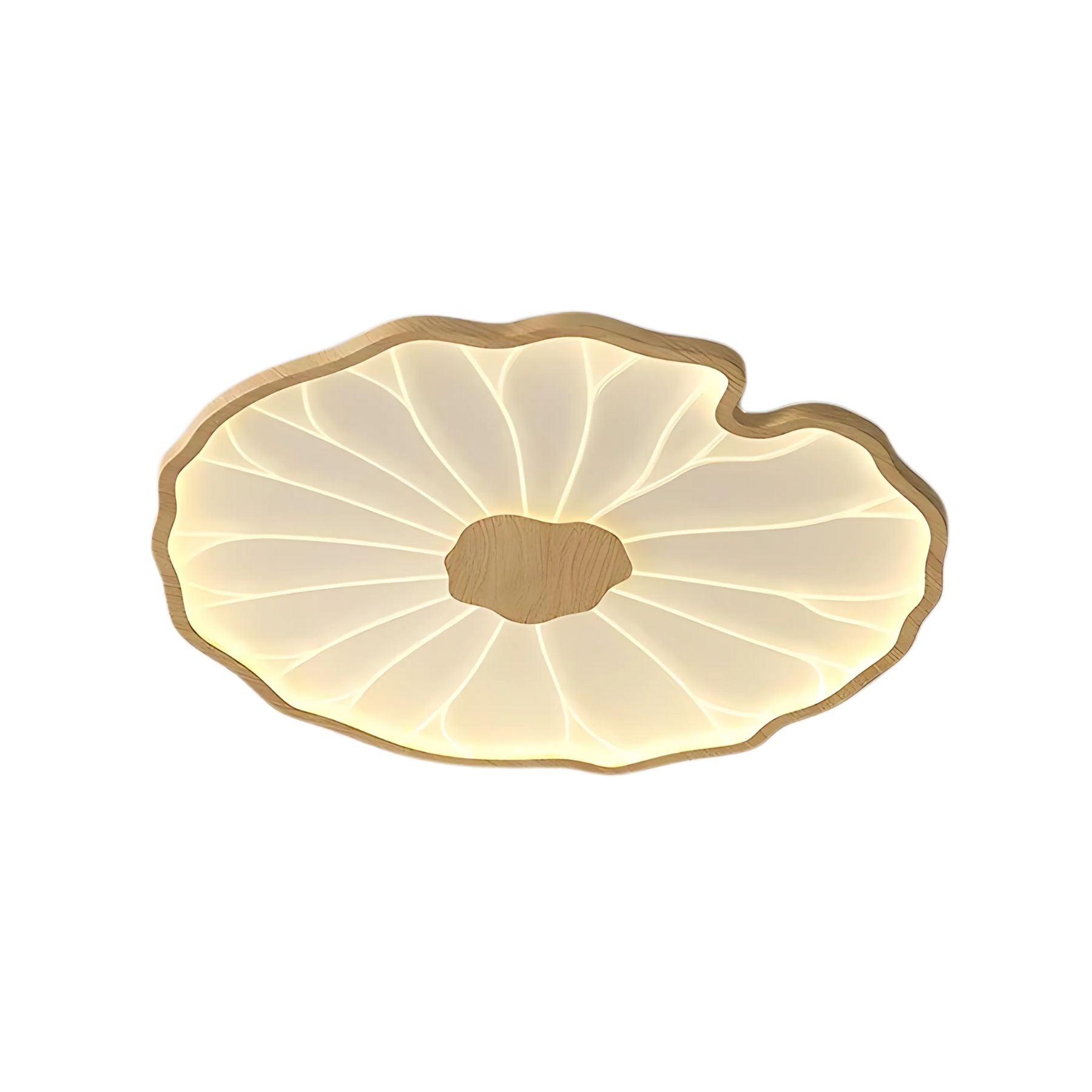 Plafonnier Renosa Leaf