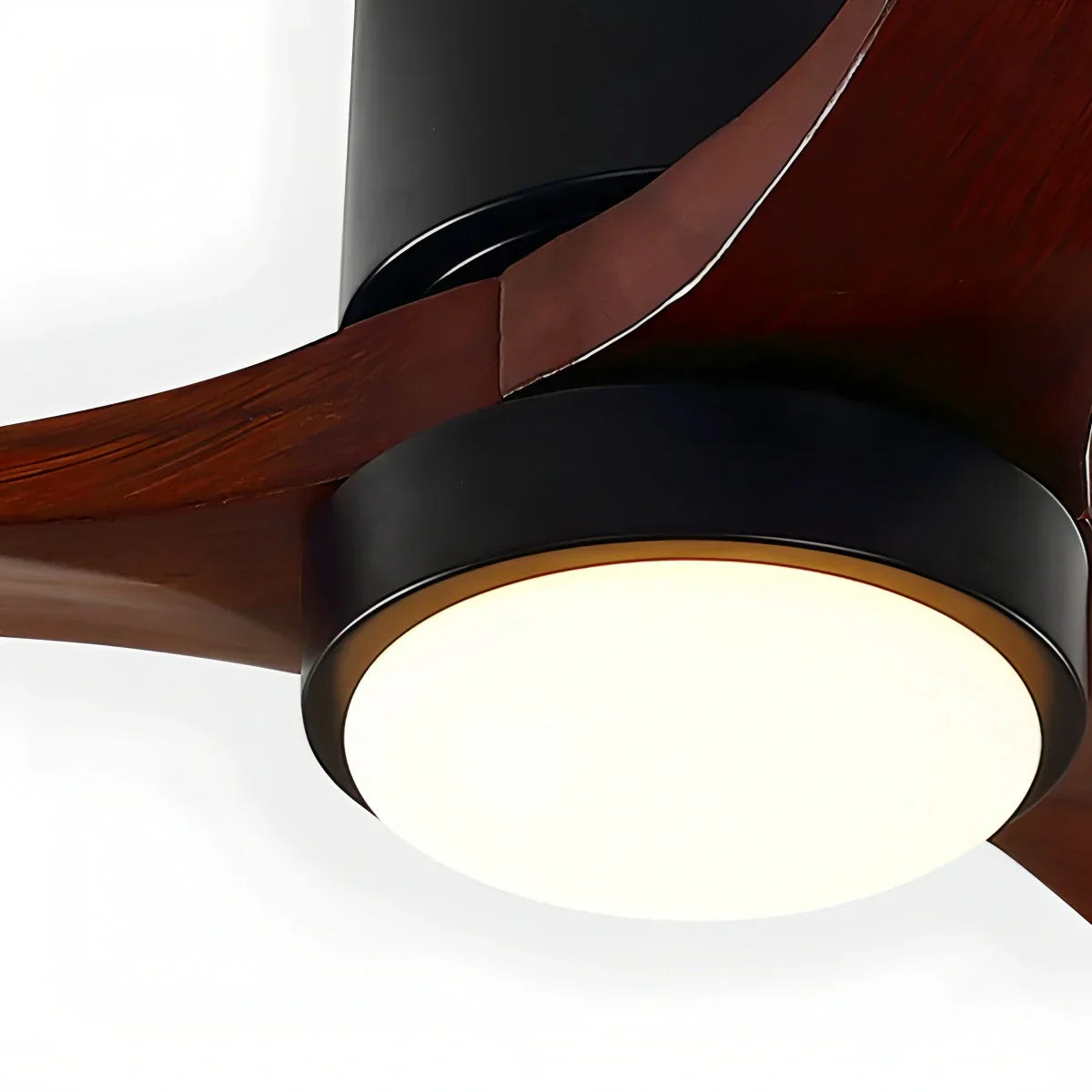 Ventilateur de plafond Ravelle