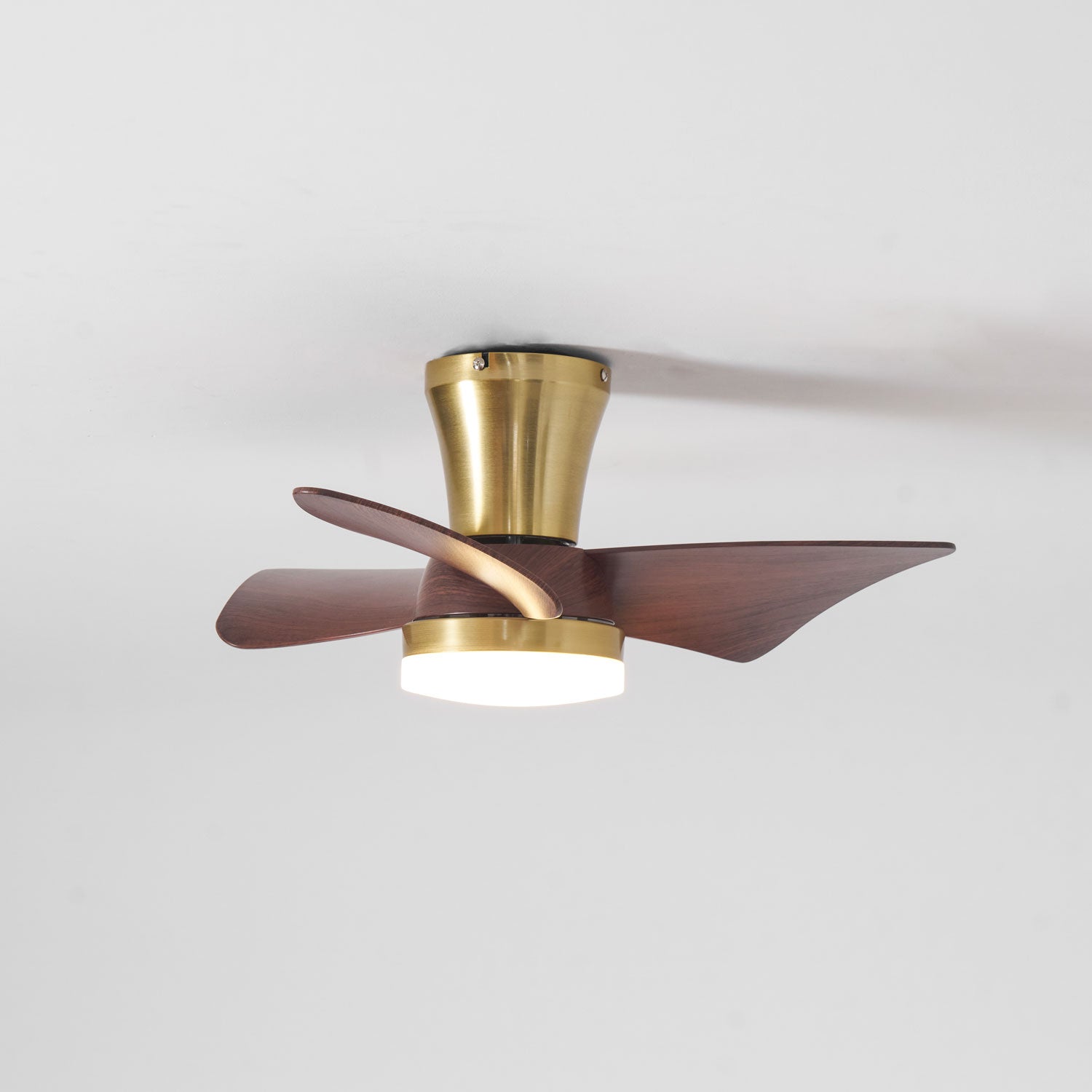 Plafonnier ventilateur Sorielis