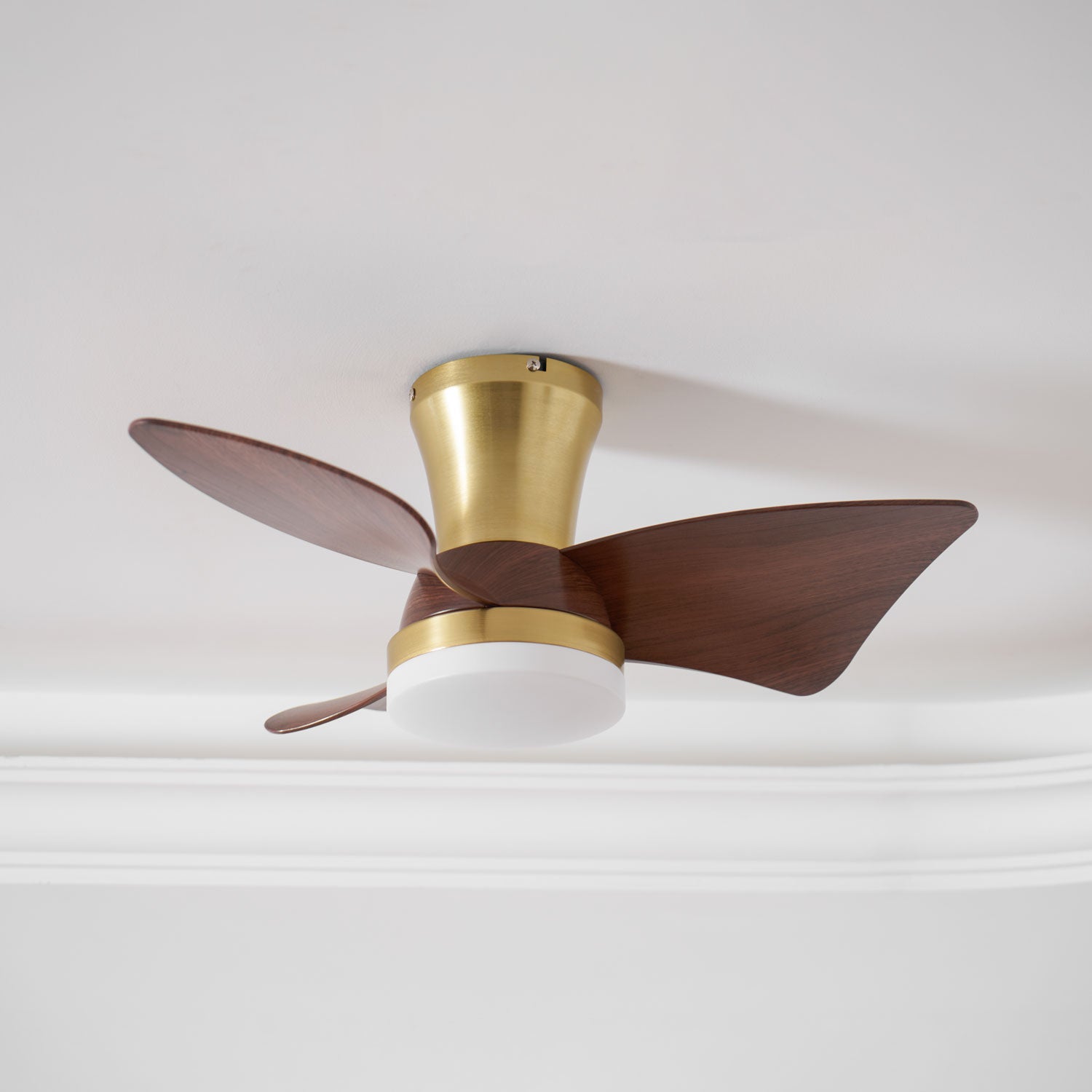 Plafonnier ventilateur Sorielis