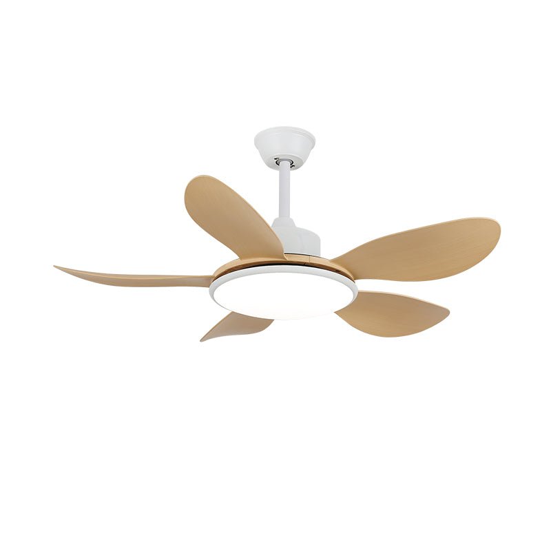 Ventilateur plafonnier Ruereno