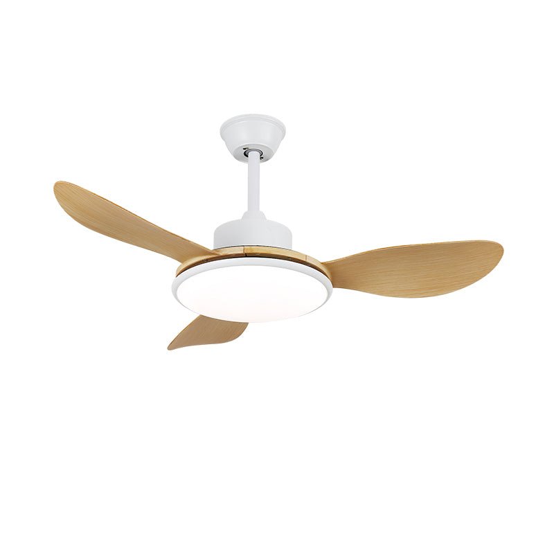 Ventilateur plafonnier Ruereno