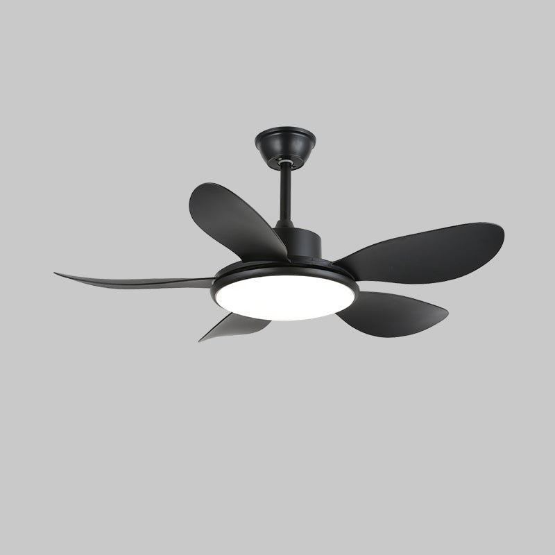 Ventilateur plafonnier Ruereno
