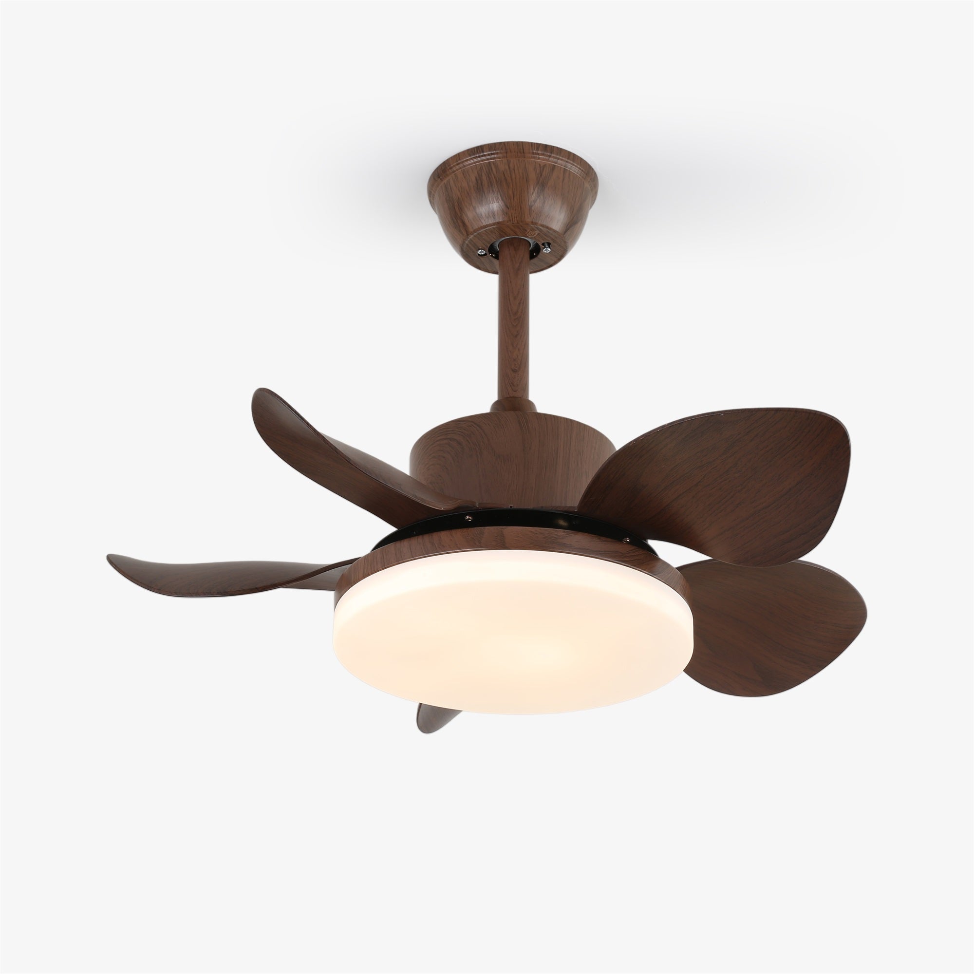 Plafonnier ventilateur Lilienova