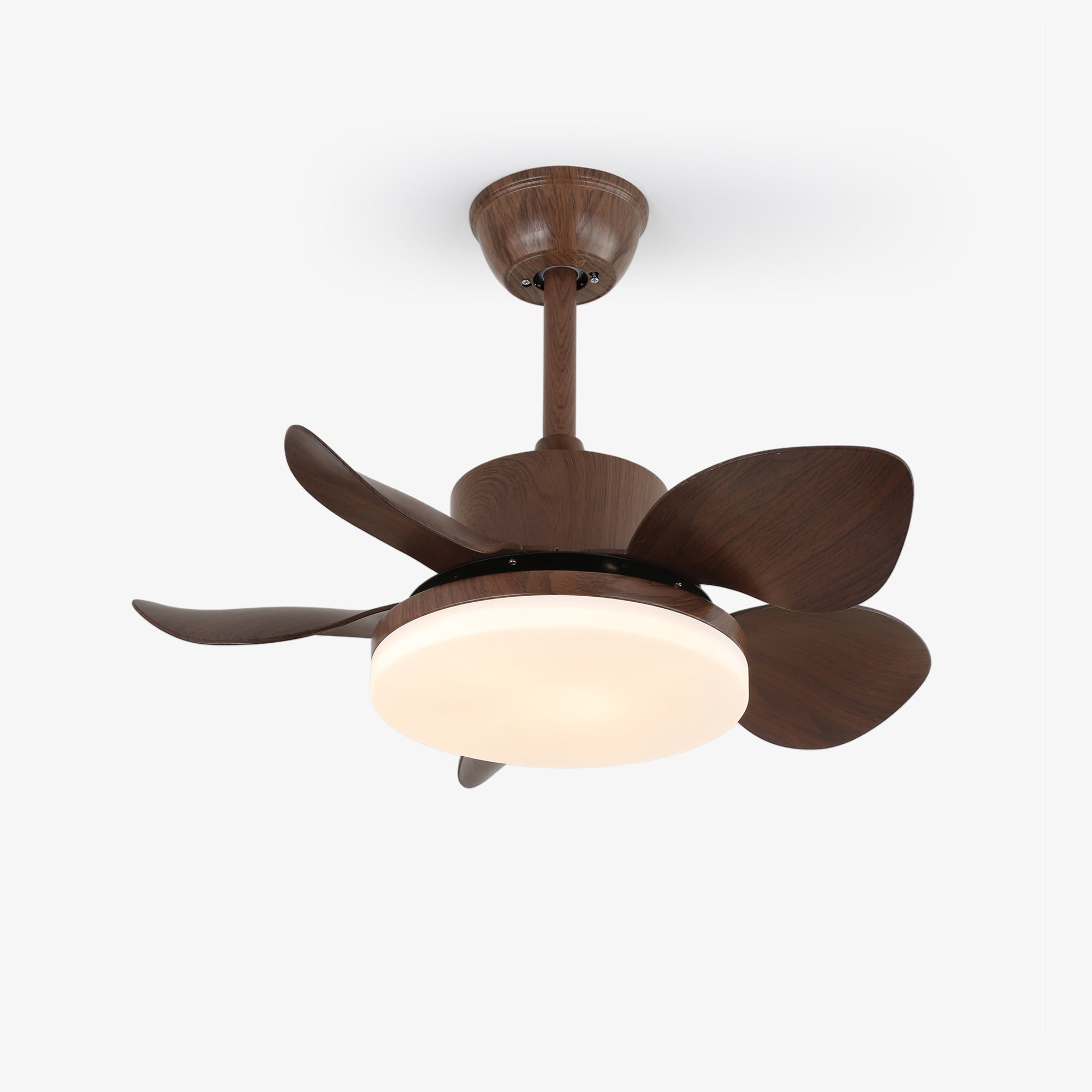Plafonnier ventilateur Lilienova