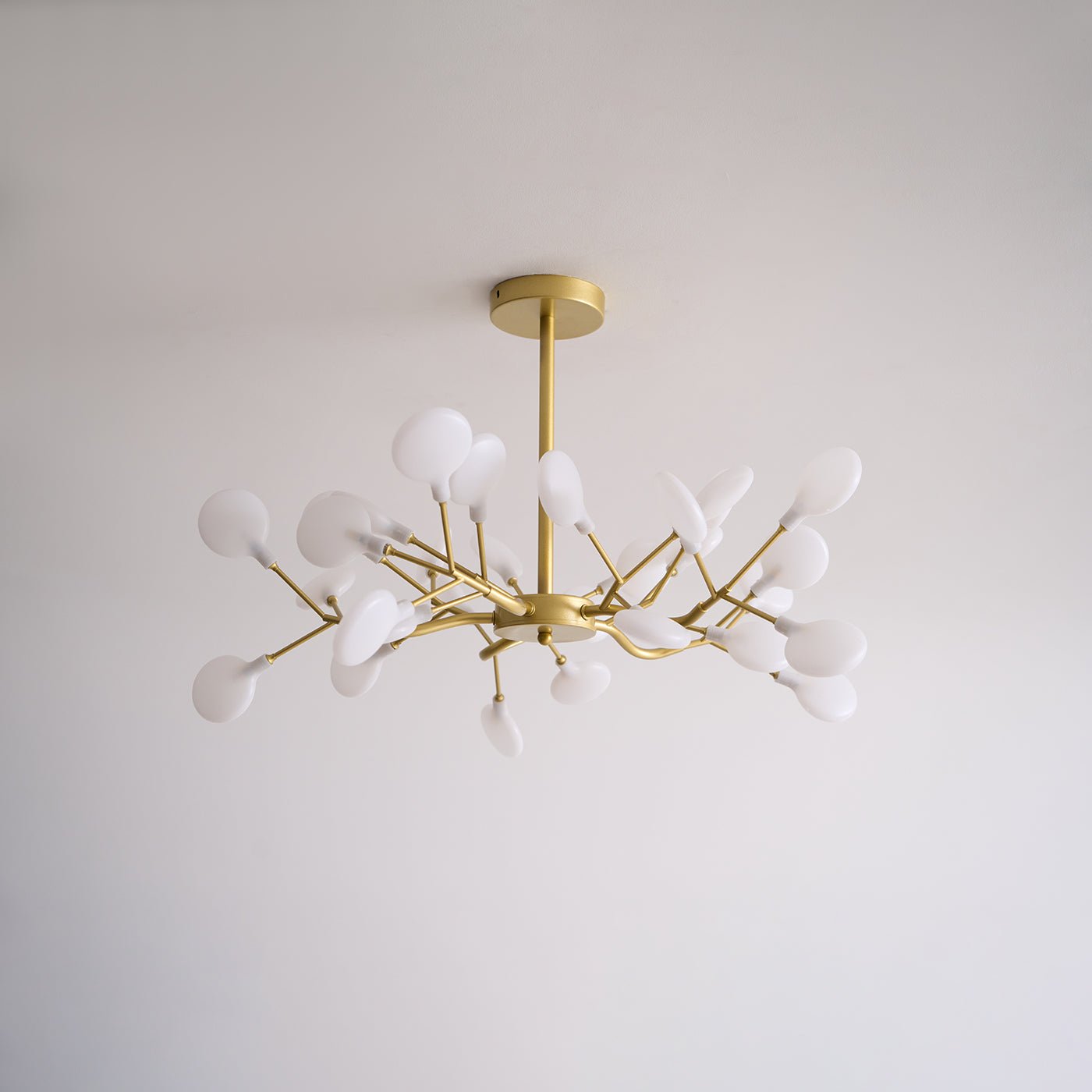 Suspension Beaumont