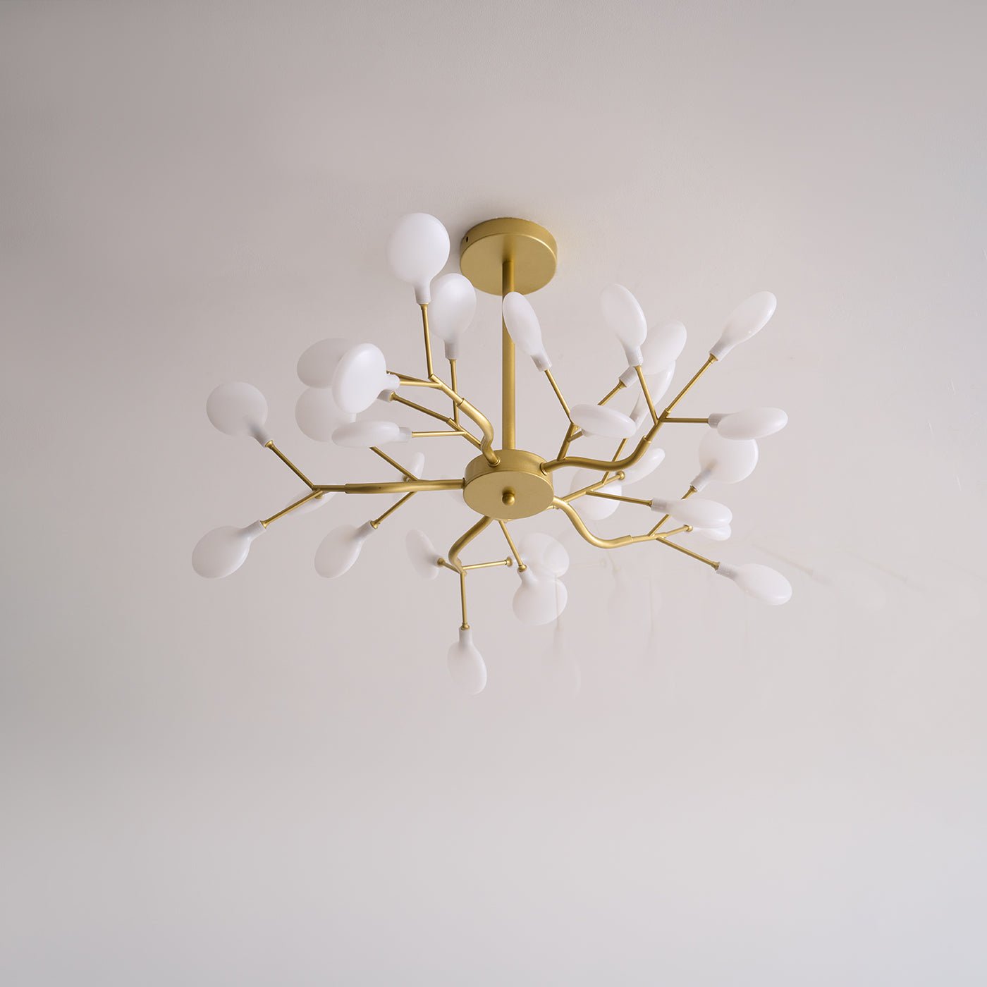 Suspension Beaumont