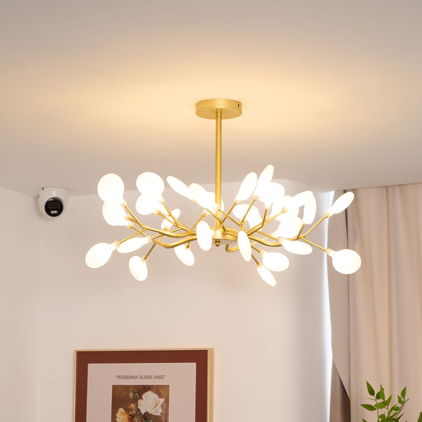 Suspension Beaumont