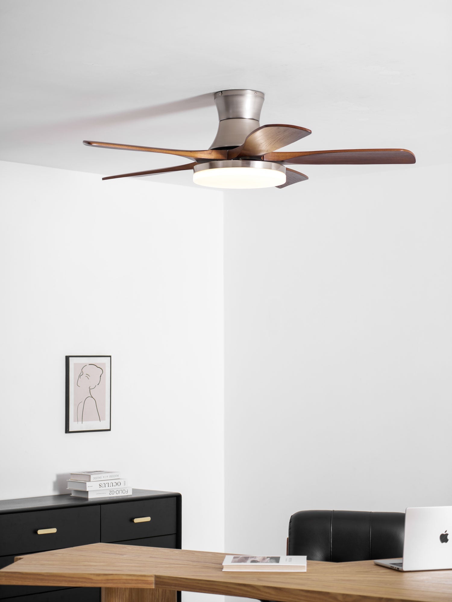 Plafonnier ventilateur Iruneo