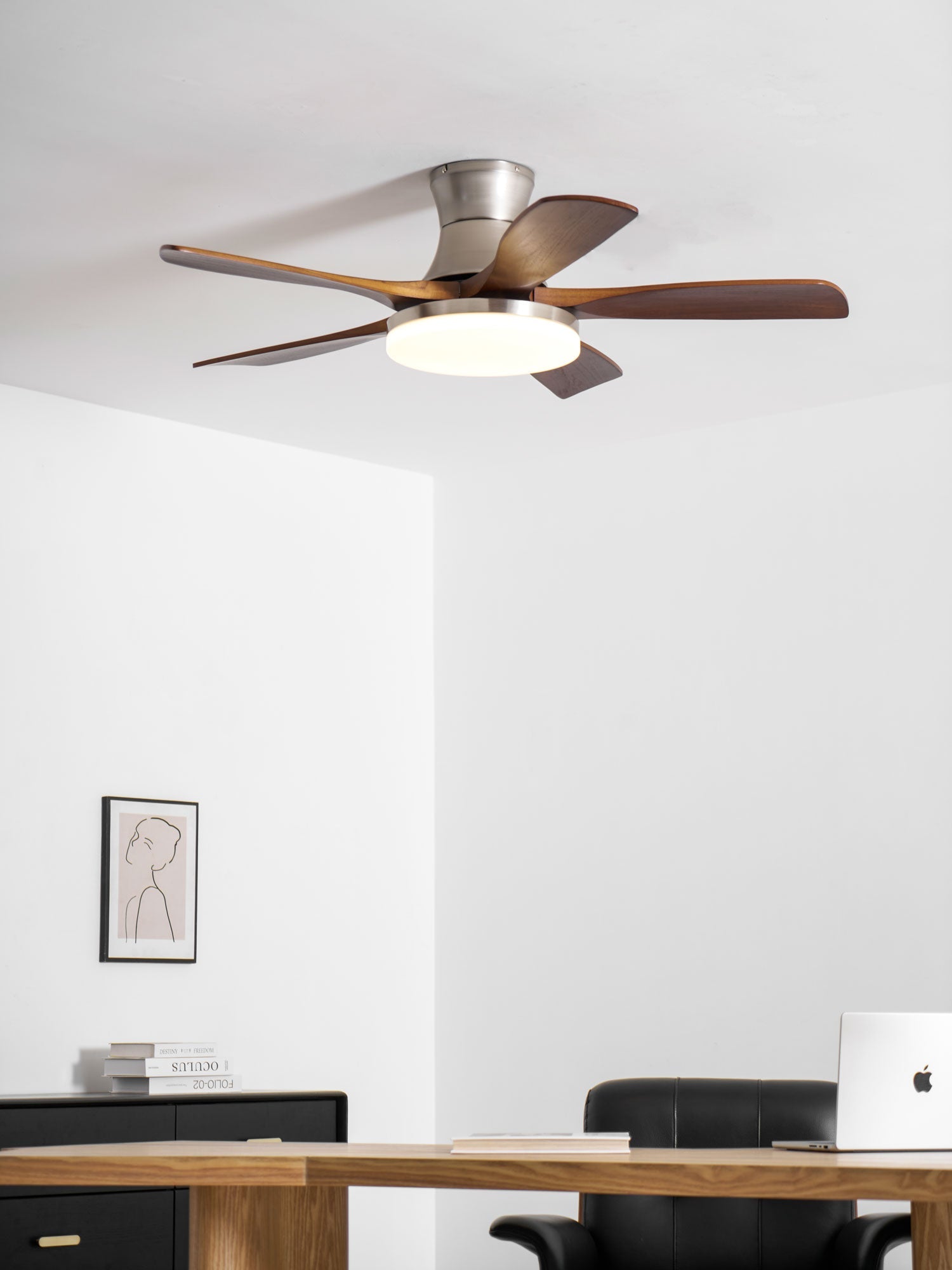 Plafonnier ventilateur Iruneo