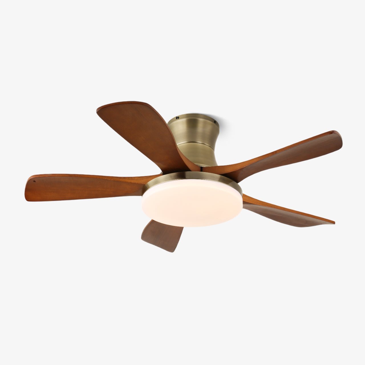 Plafonnier ventilateur Iruneo