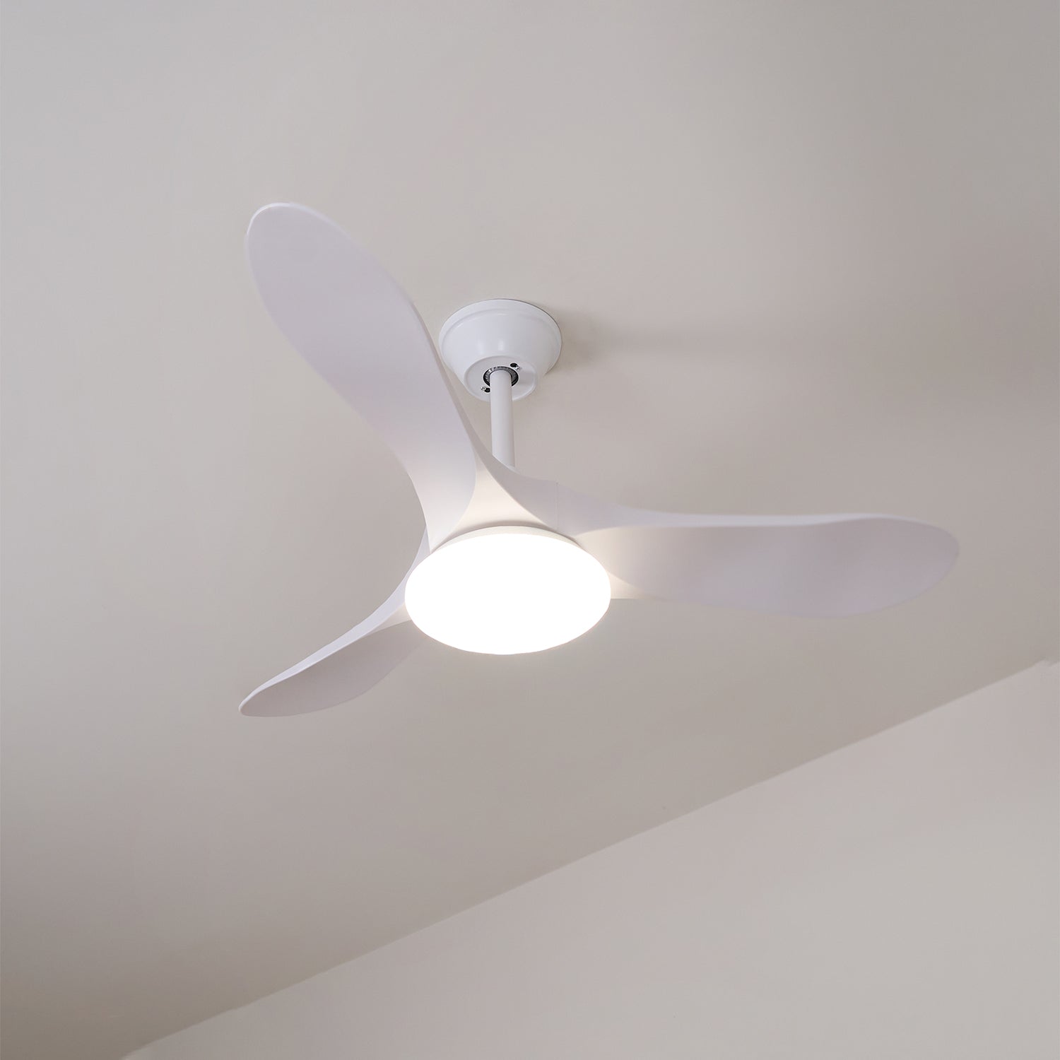 Plafonnier ventilateur Favigno