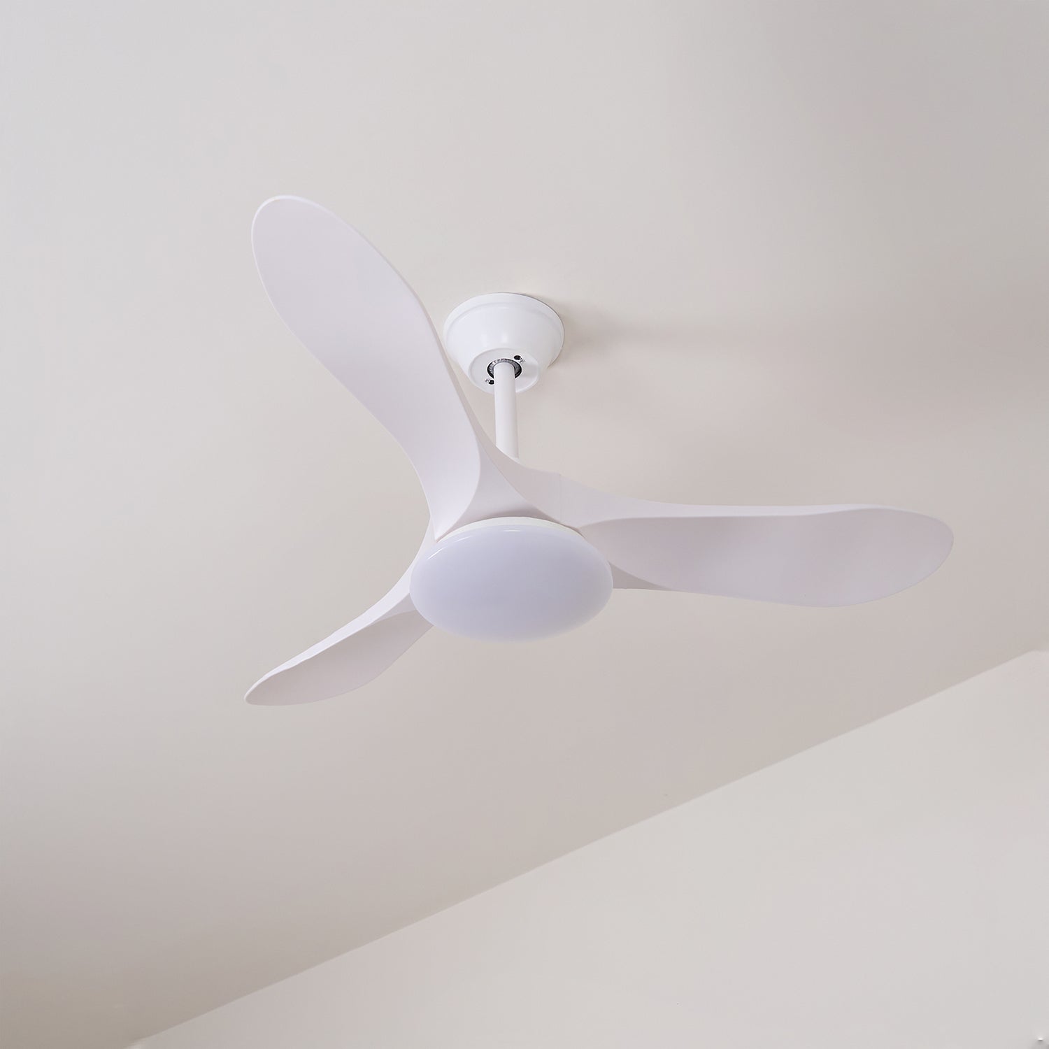 Plafonnier ventilateur Favigno