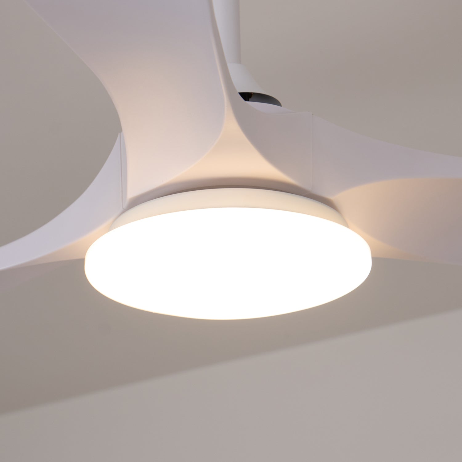Plafonnier ventilateur Favigno