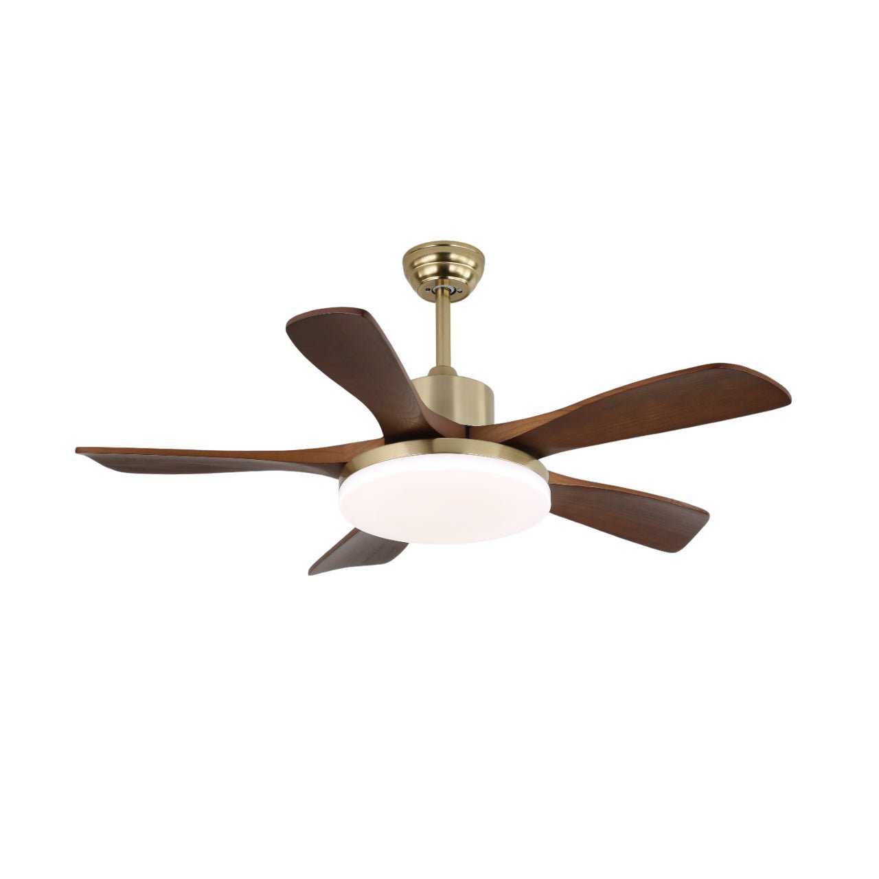 Plafonnier ventilateur Liaroris