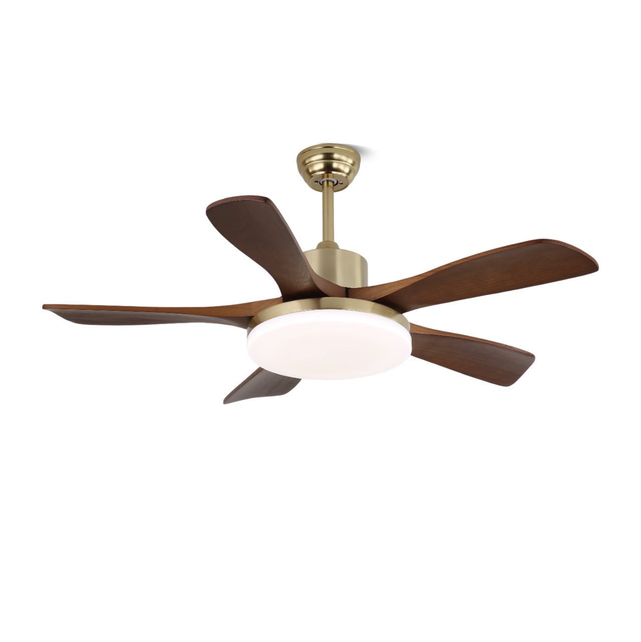 Plafonnier ventilateur Liaroris