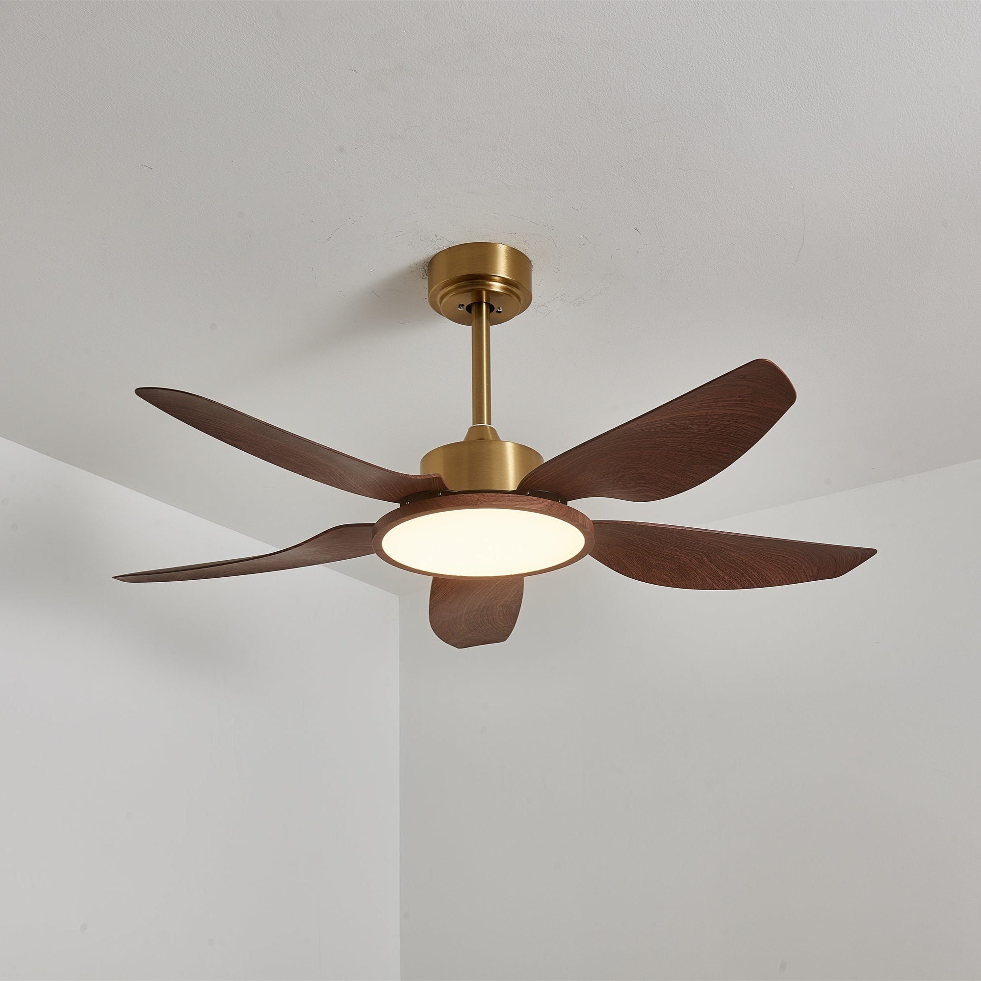 Plafonnier ventilateur Torbelvian