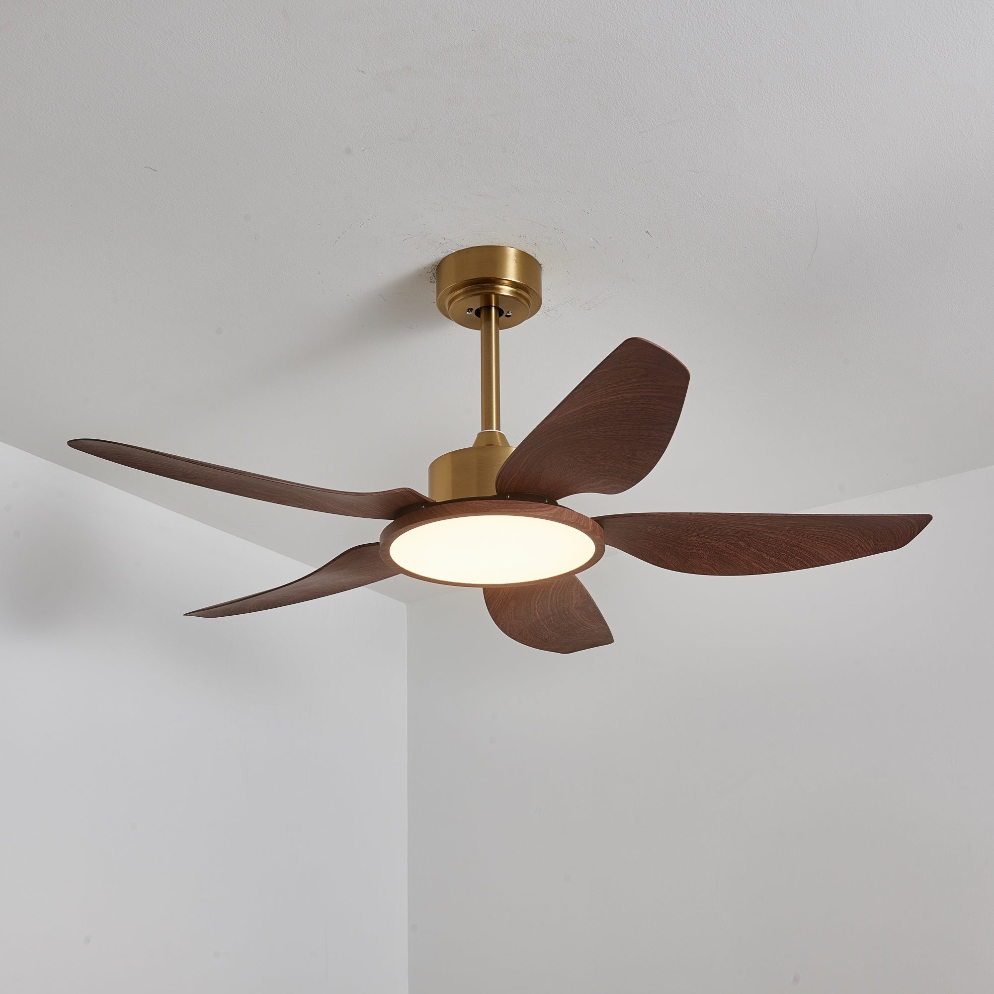 Plafonnier ventilateur Torbelvian