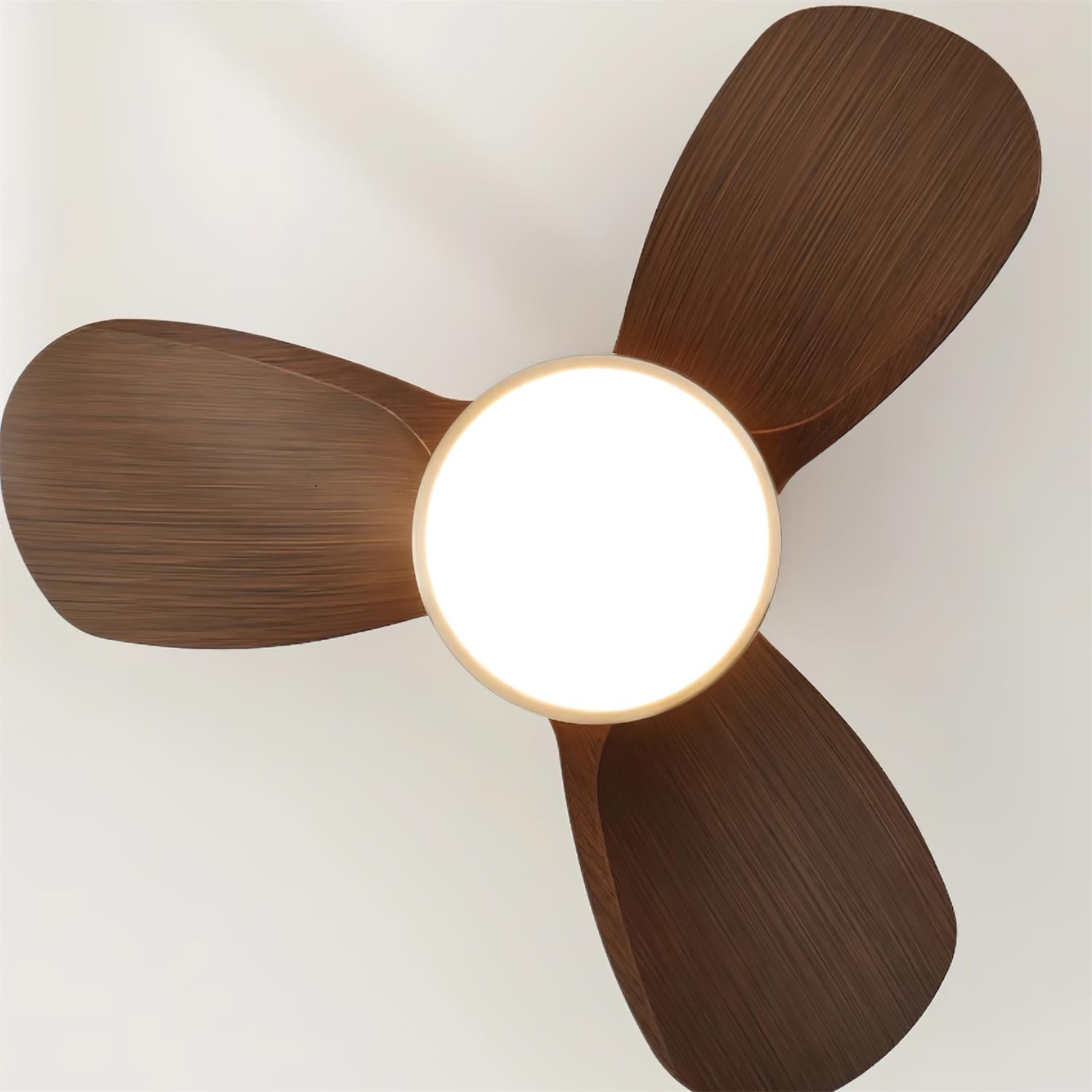 Plafonnier ventilateur Velluxor