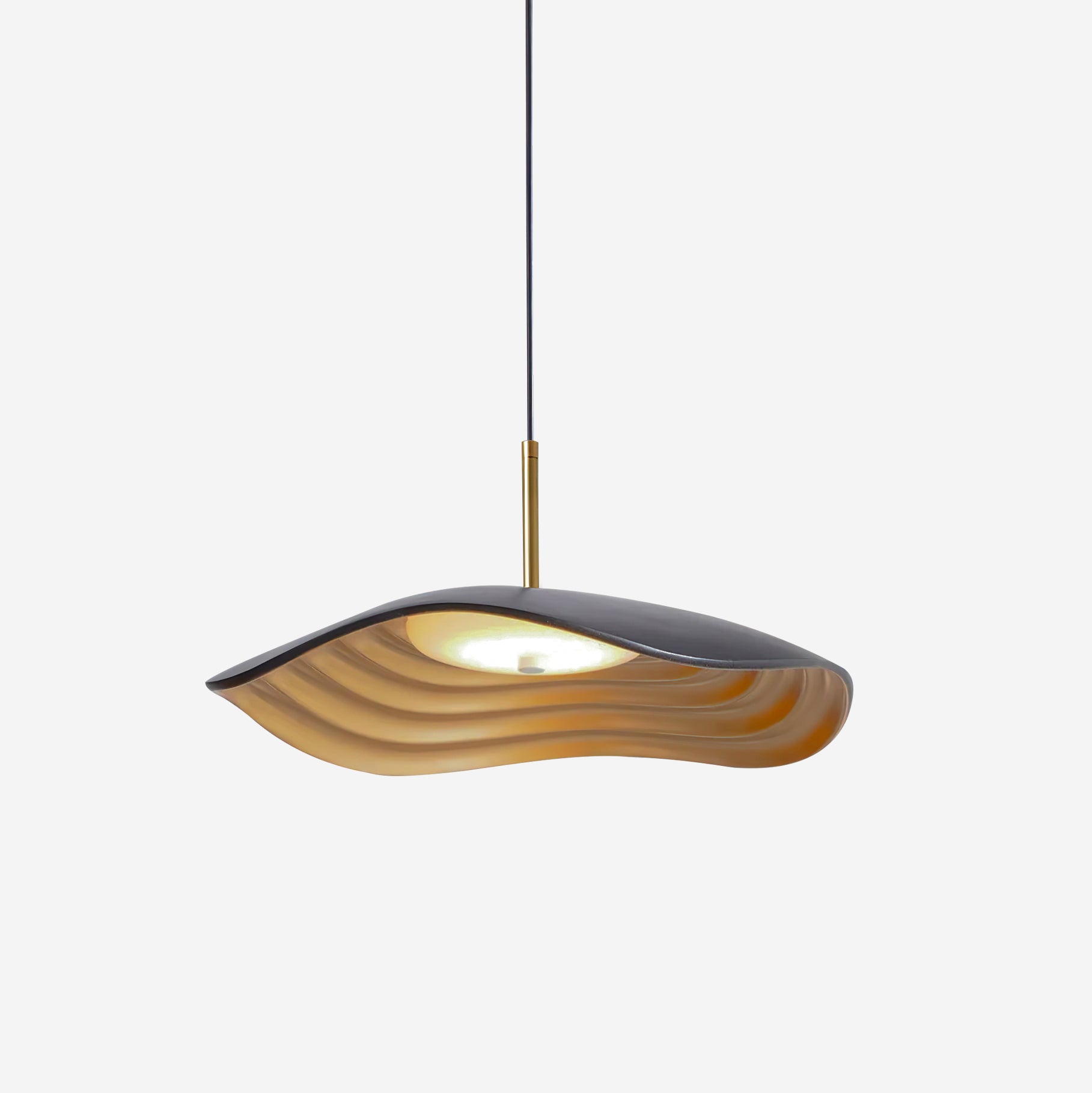 Suspension Brionelle Arc