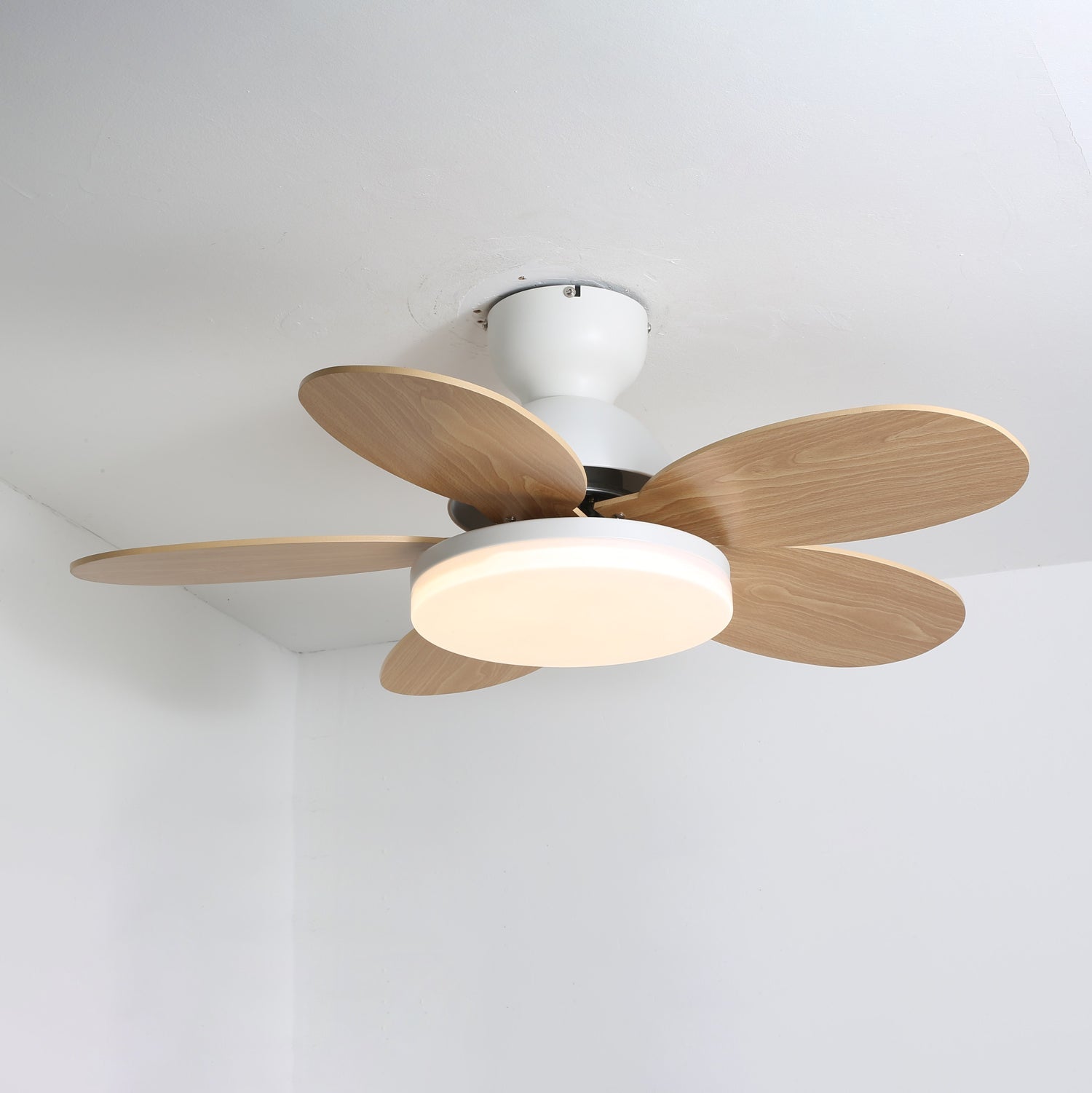 Delionne ventilateur de plafond bois - Valora Design