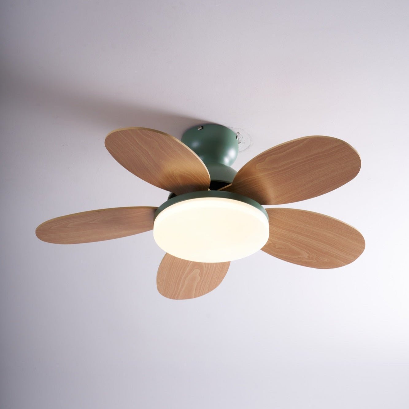 Delionne ventilateur de plafond bois - Valora Design