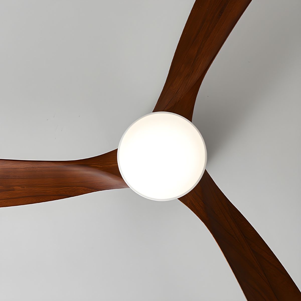 Soranne ventilateur de plafond bois - Valora Design